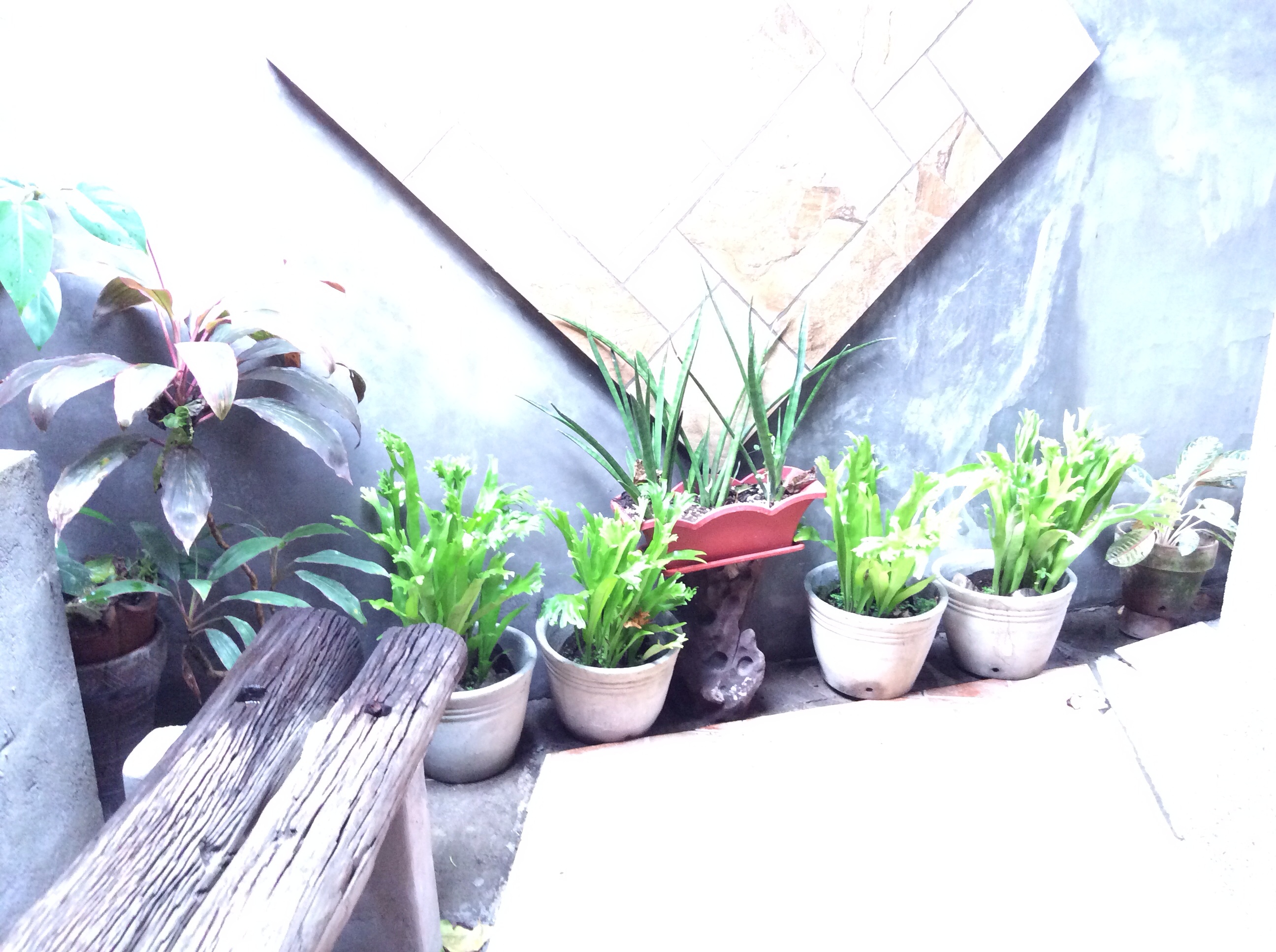 Balai Tinay Guesthouse