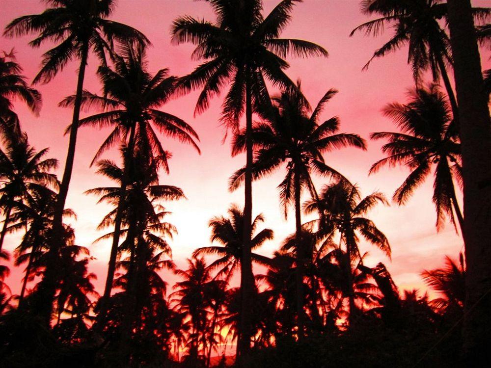 Balay de la Rama Bed & Breakfast