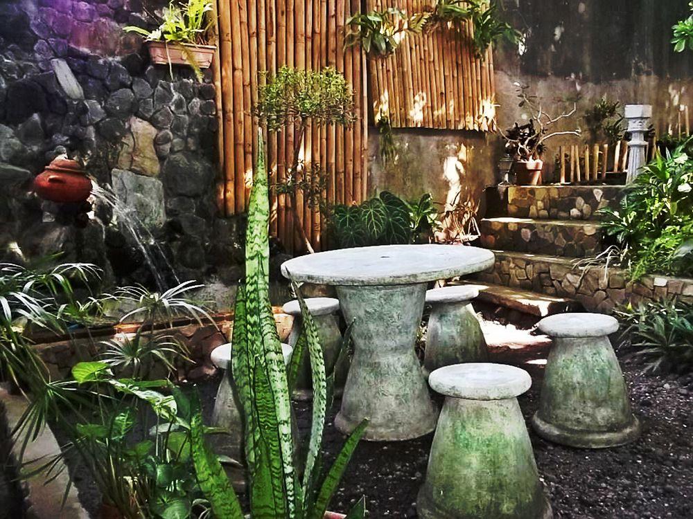 Balay de la Rama Bed & Breakfast