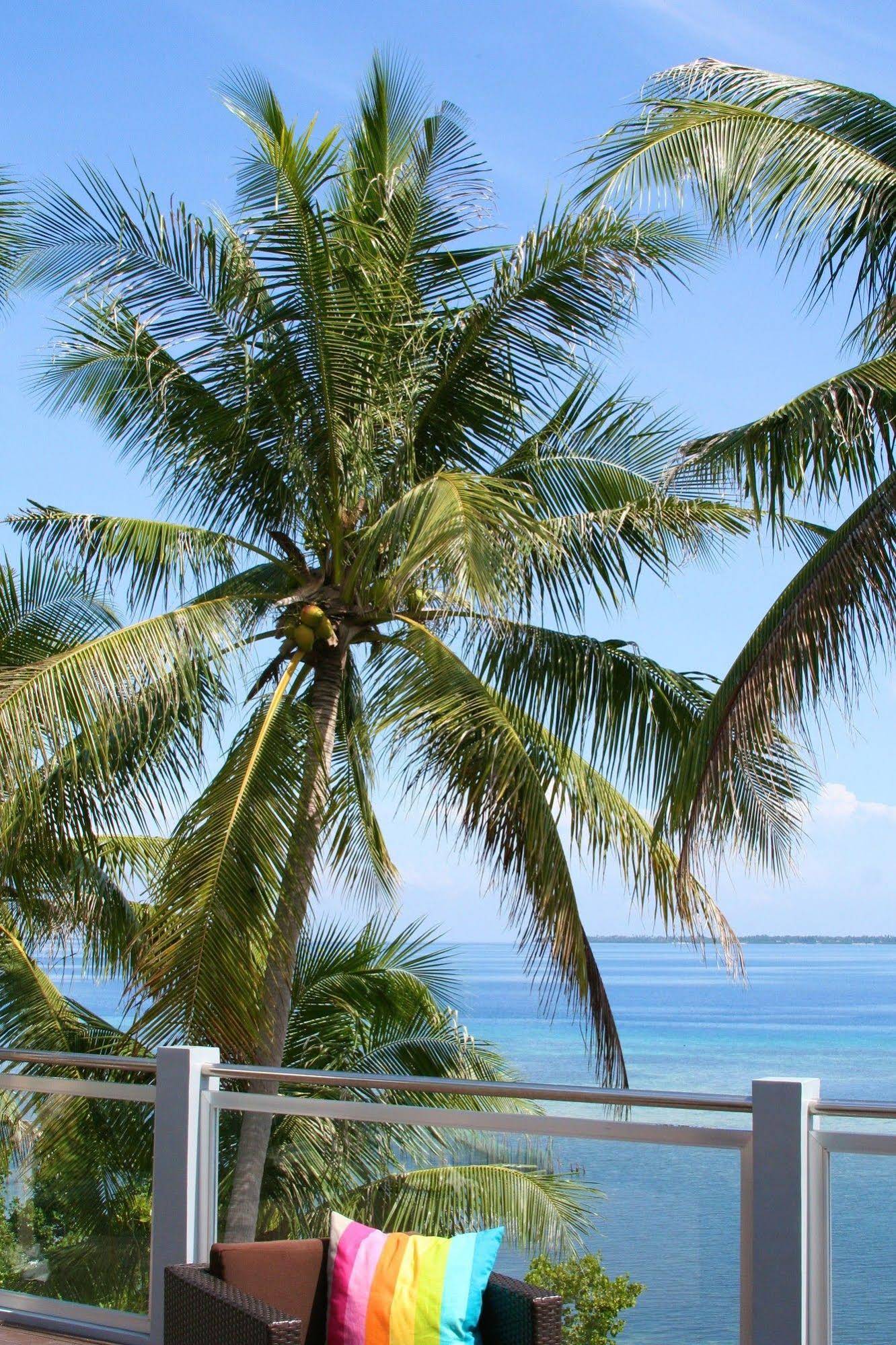 Sandigan Island Dive Resort