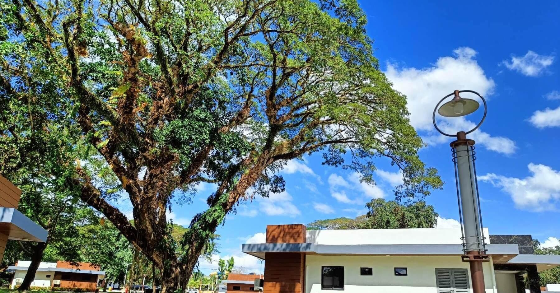 Aurora Villas And Cabin Resort