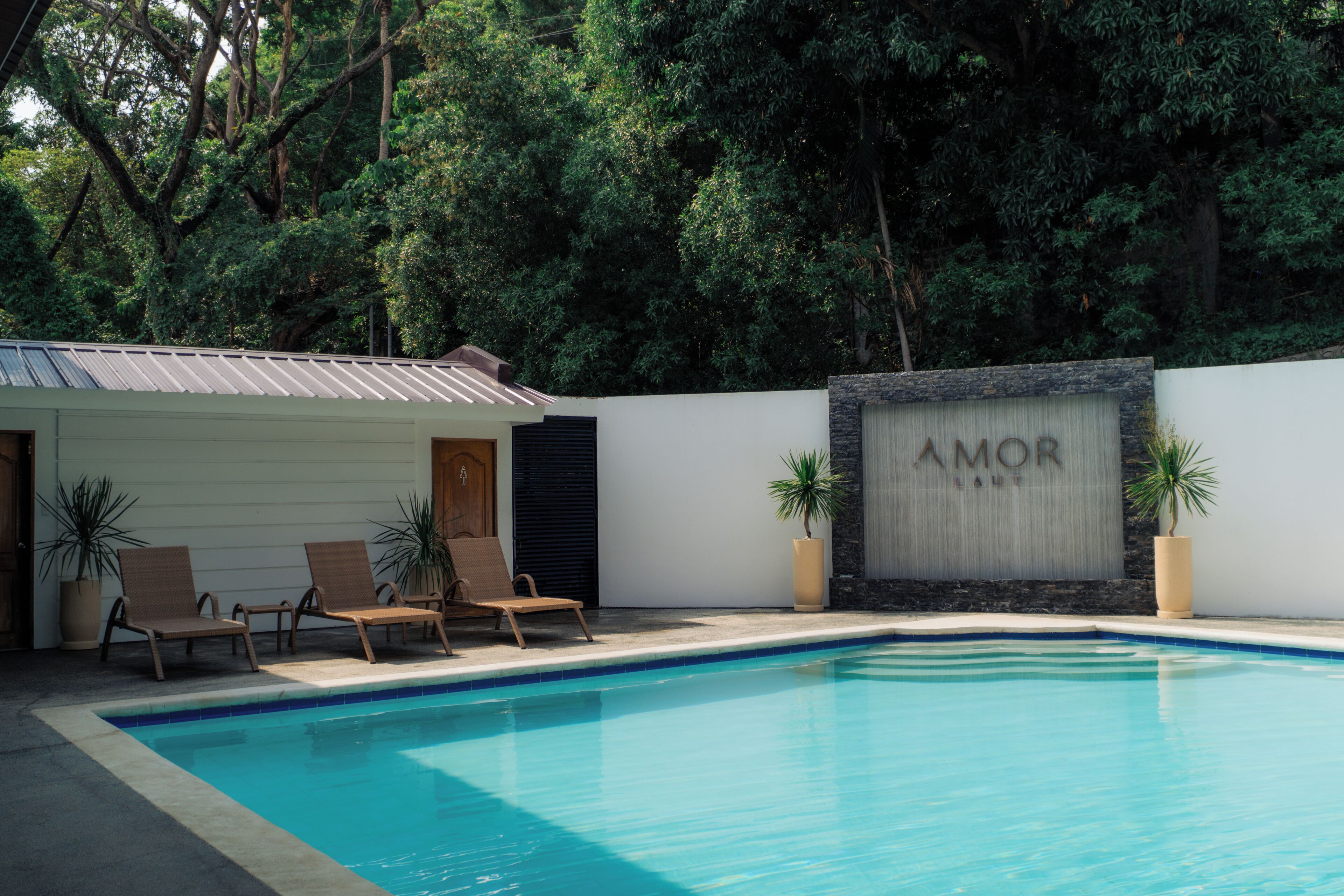 Amor Laut