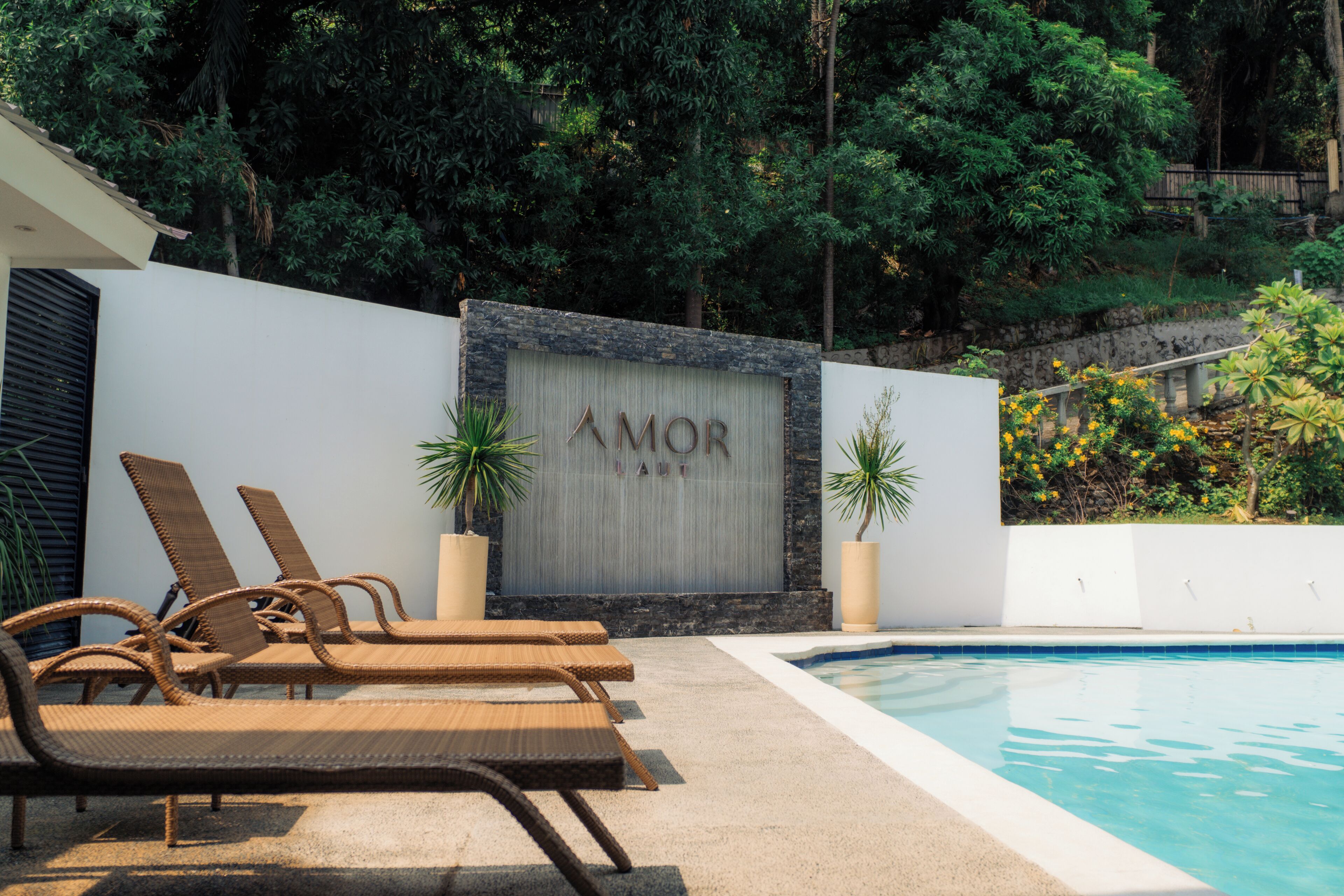Amor Laut