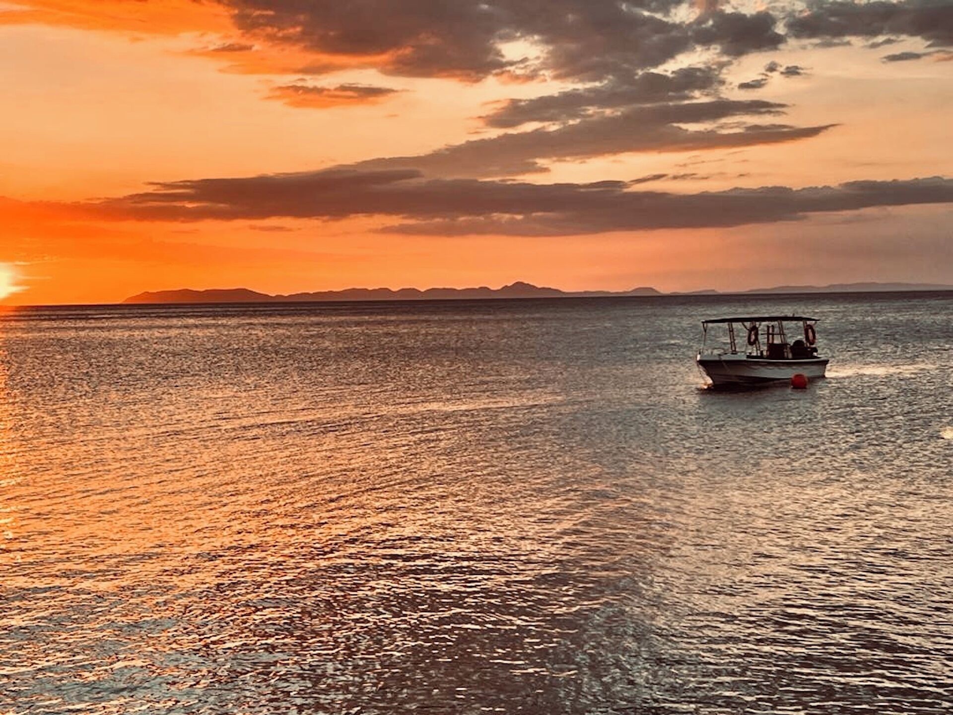 Amor Laut