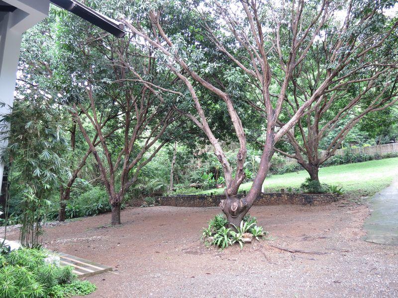 Bambu Villa Resort