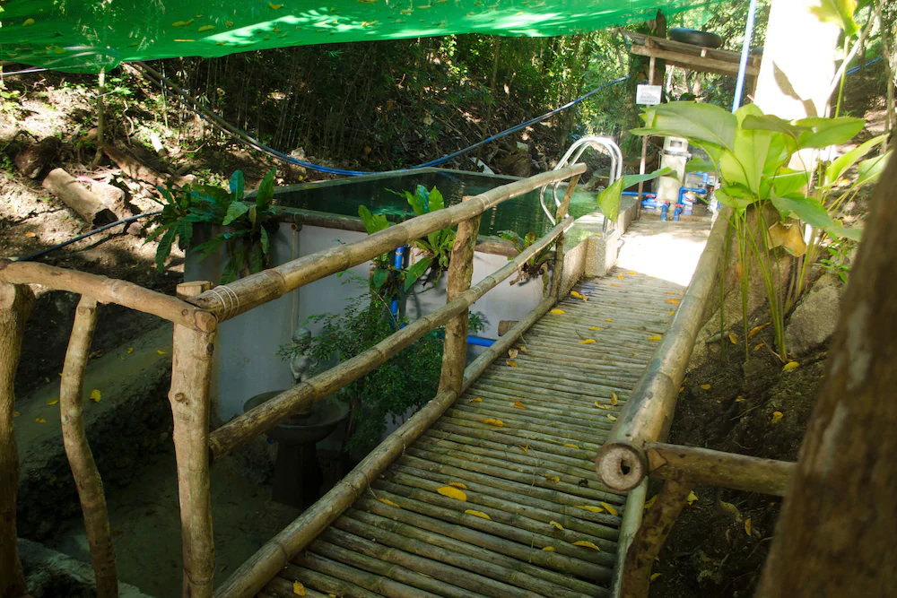 Paradiso Rito