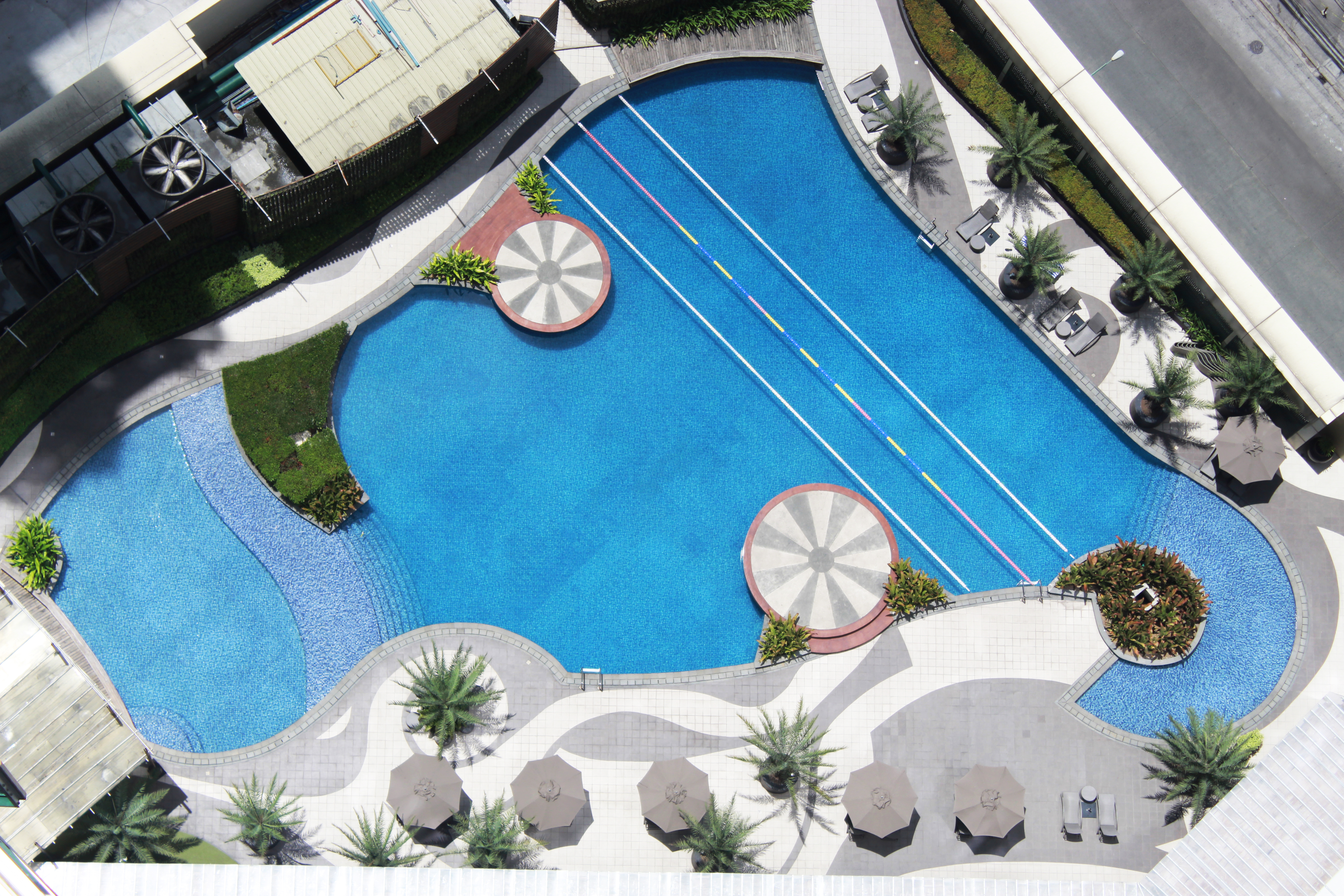 The Alpha Suites
