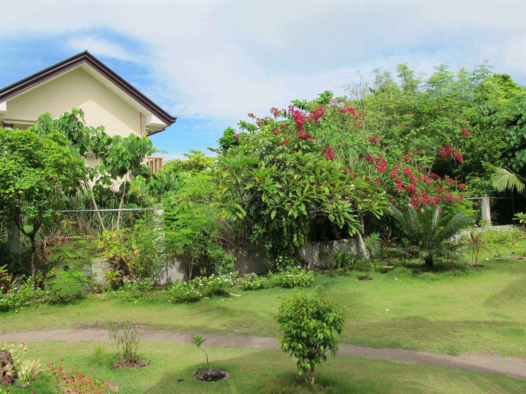 Celtis Resort