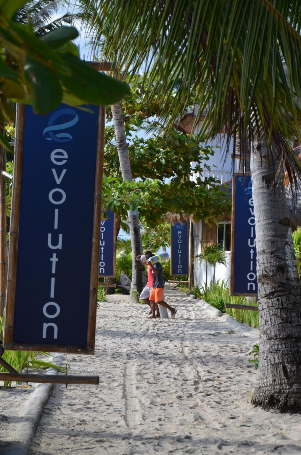 Evolution Dive and Beach Resort