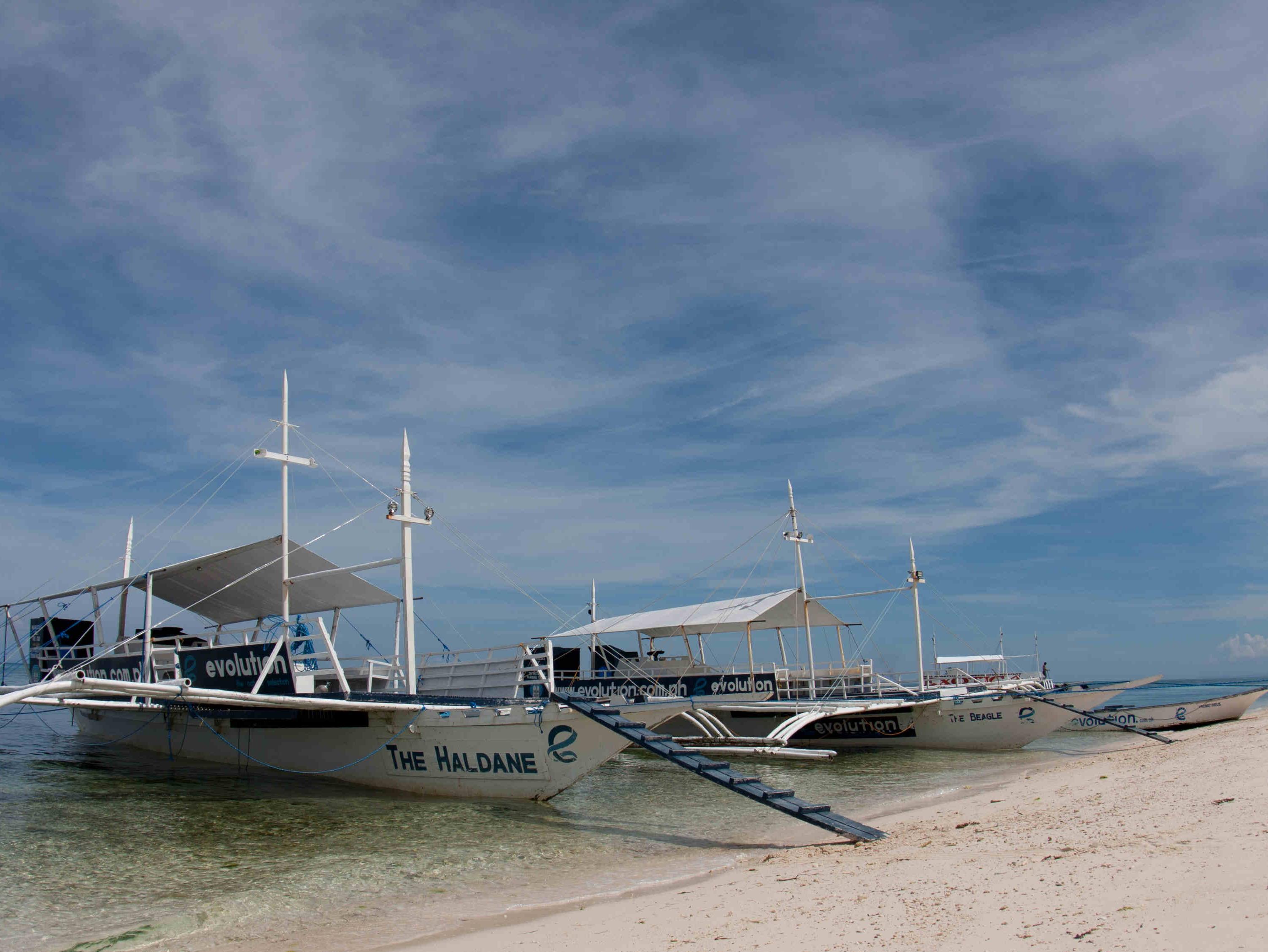 Evolution Dive and Beach Resort