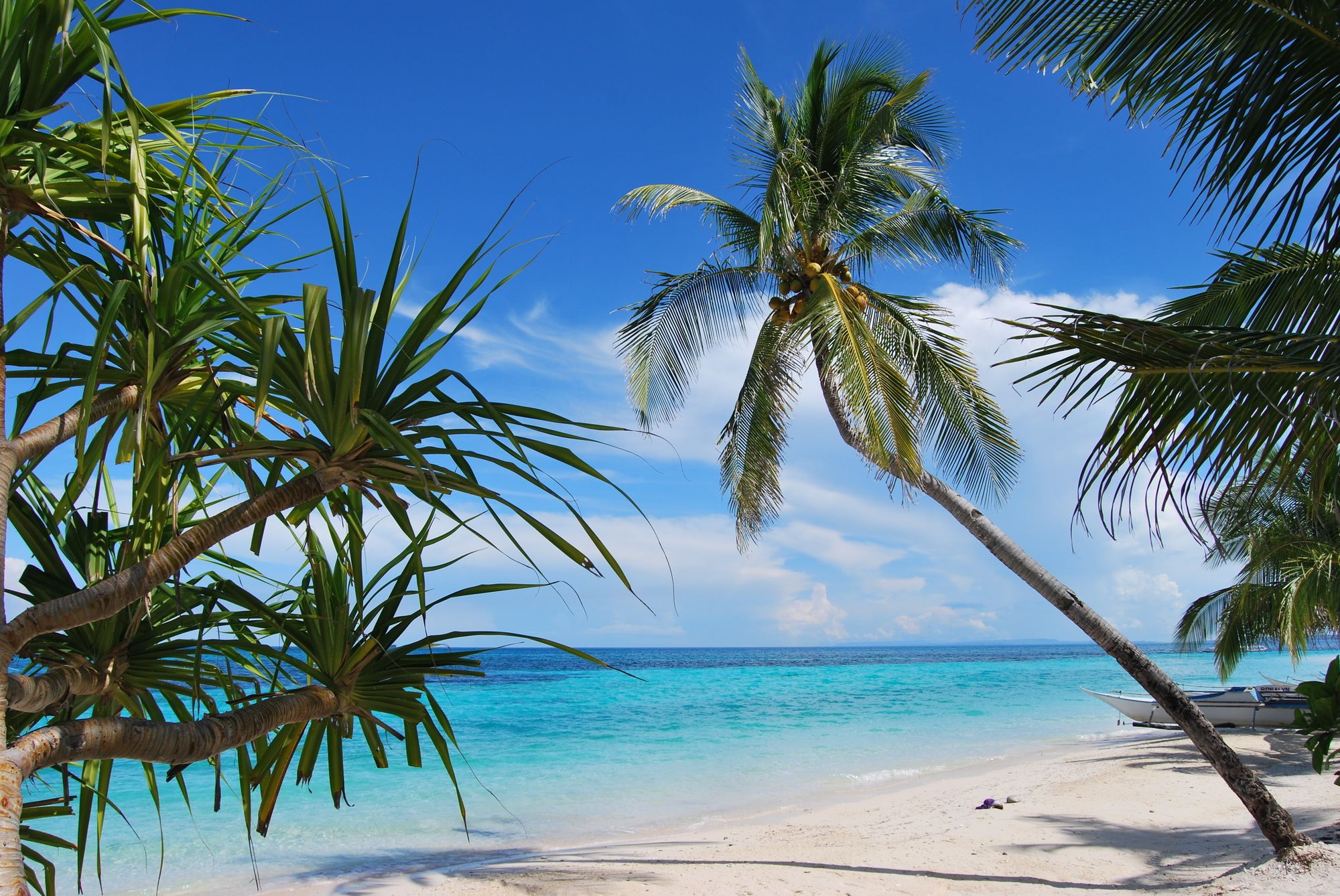 Exotic Island Dive & Beach Resort