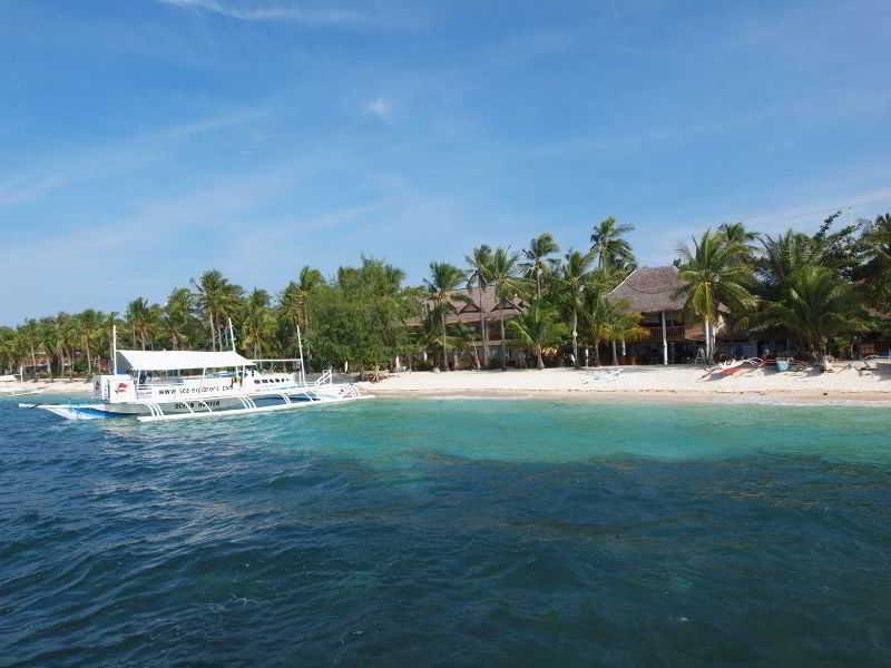 Ocean Vida Beach & Dive Resort