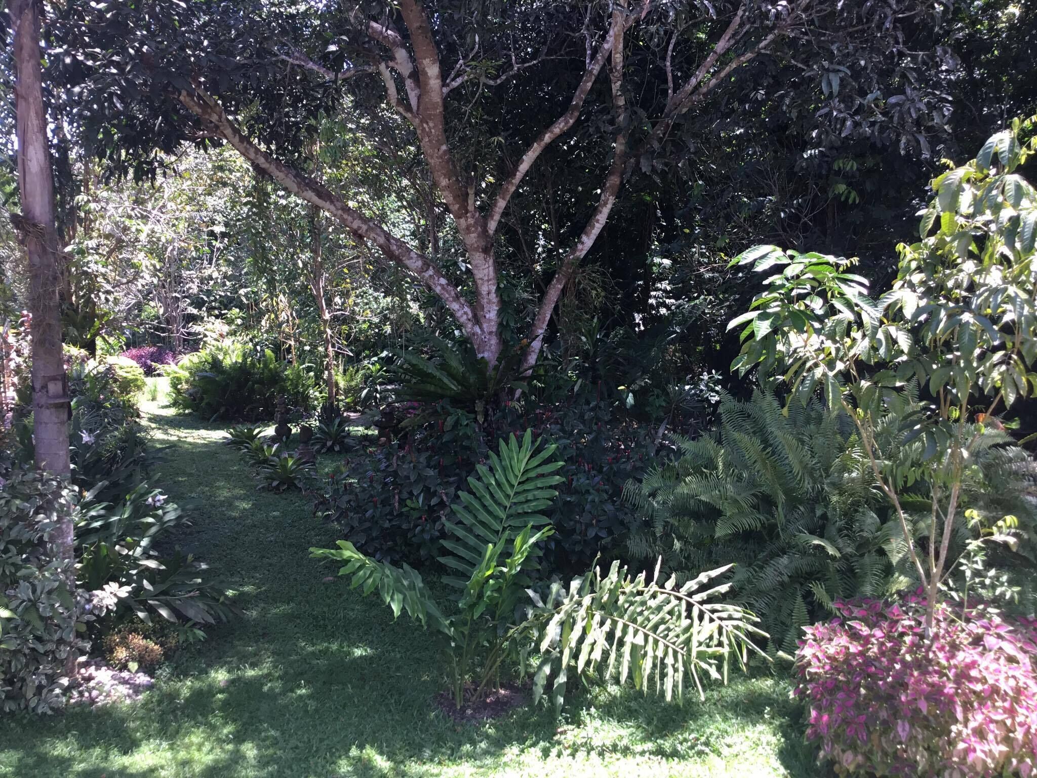 Camguin Lanzones Resort