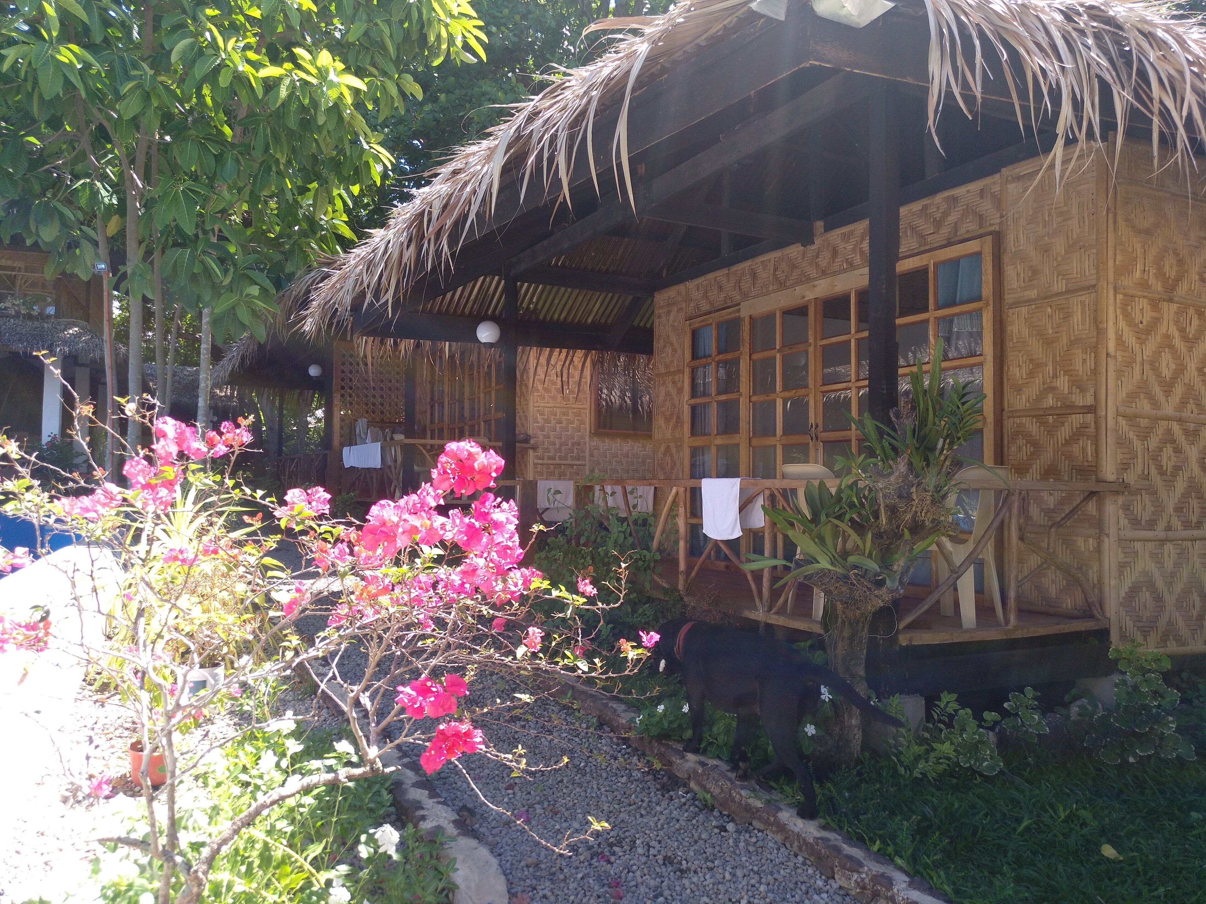 Kokomo Beach Resort