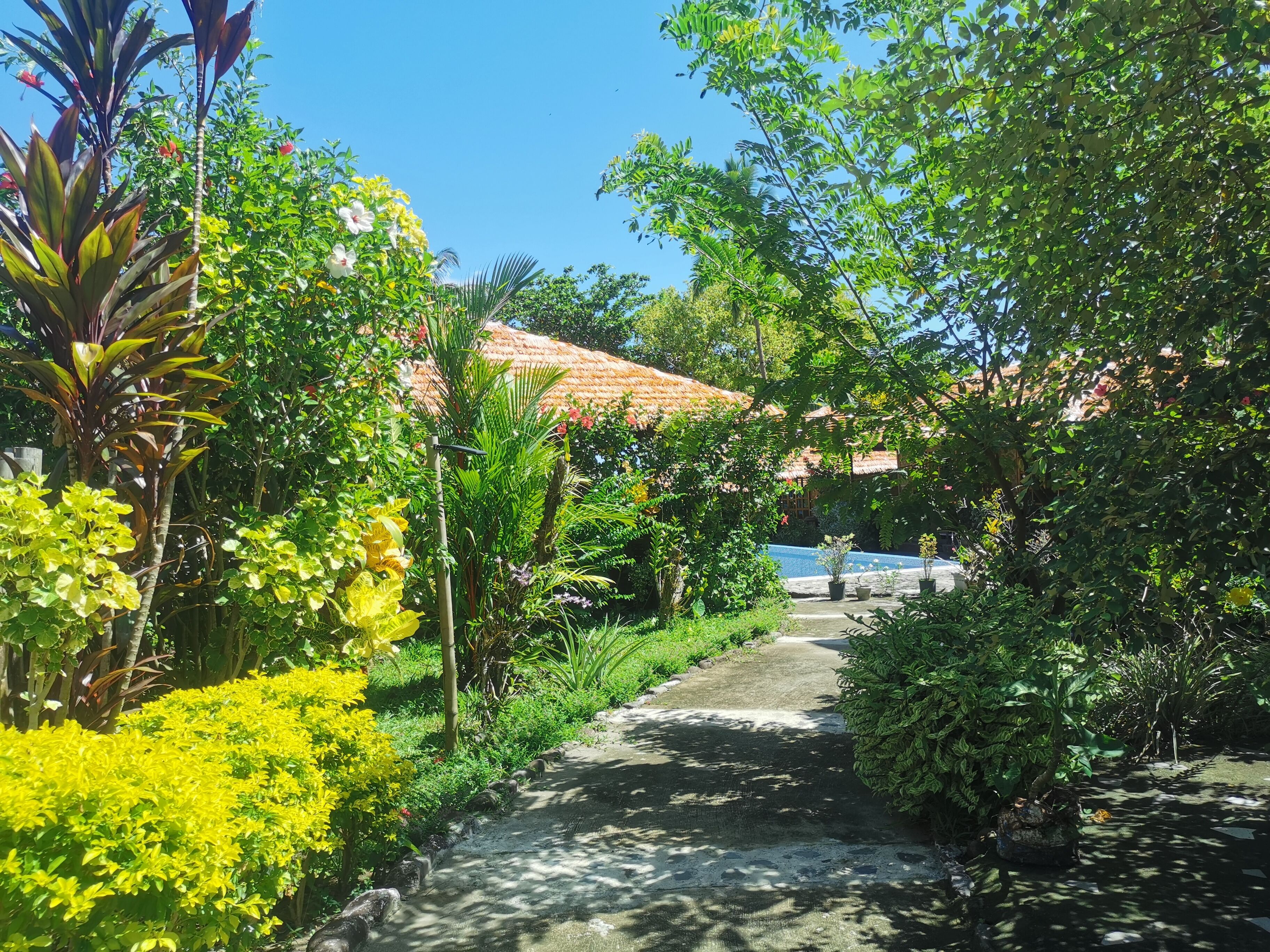 Kokomo Beach Resort
