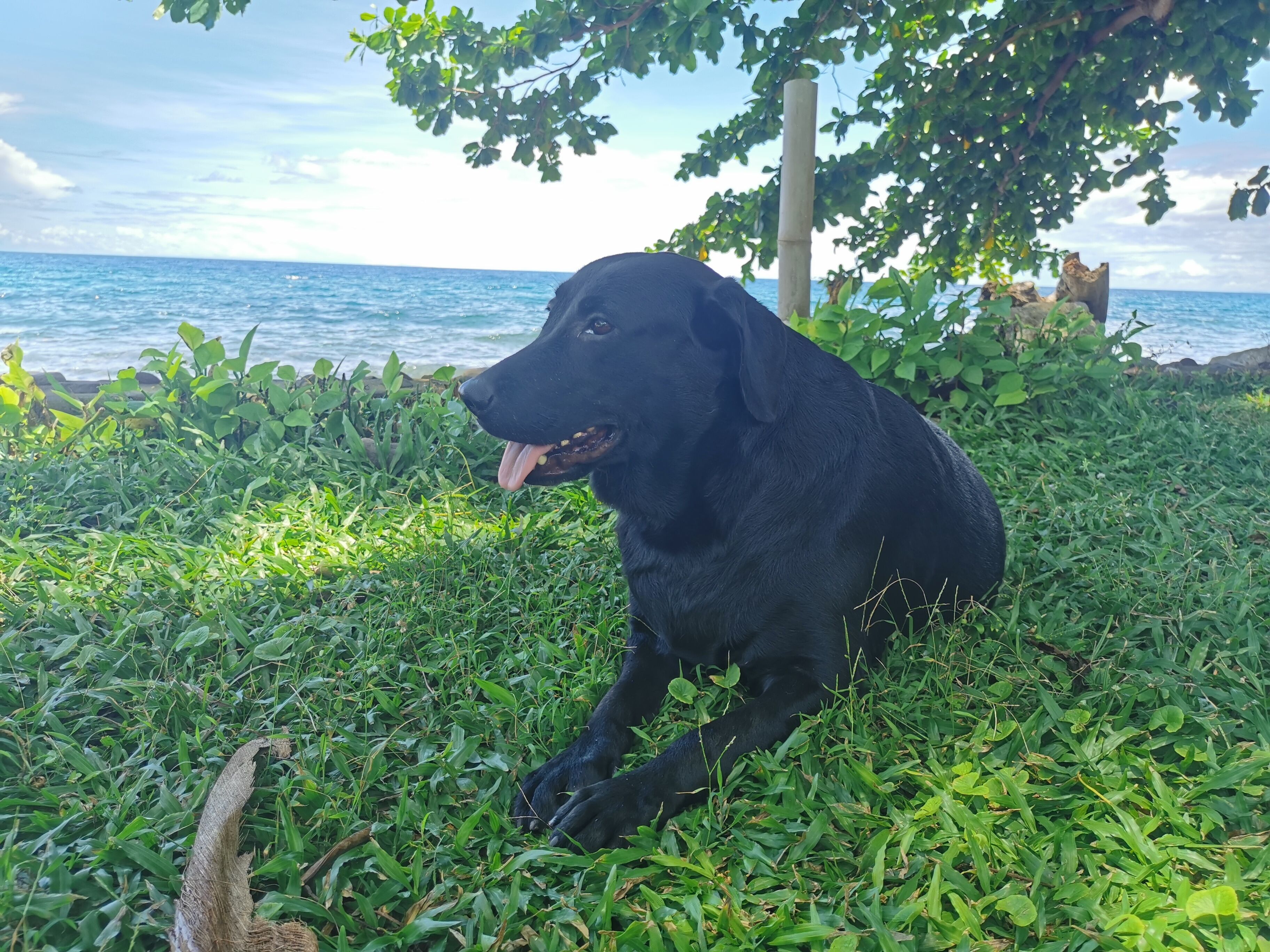 Kokomo Beach Resort