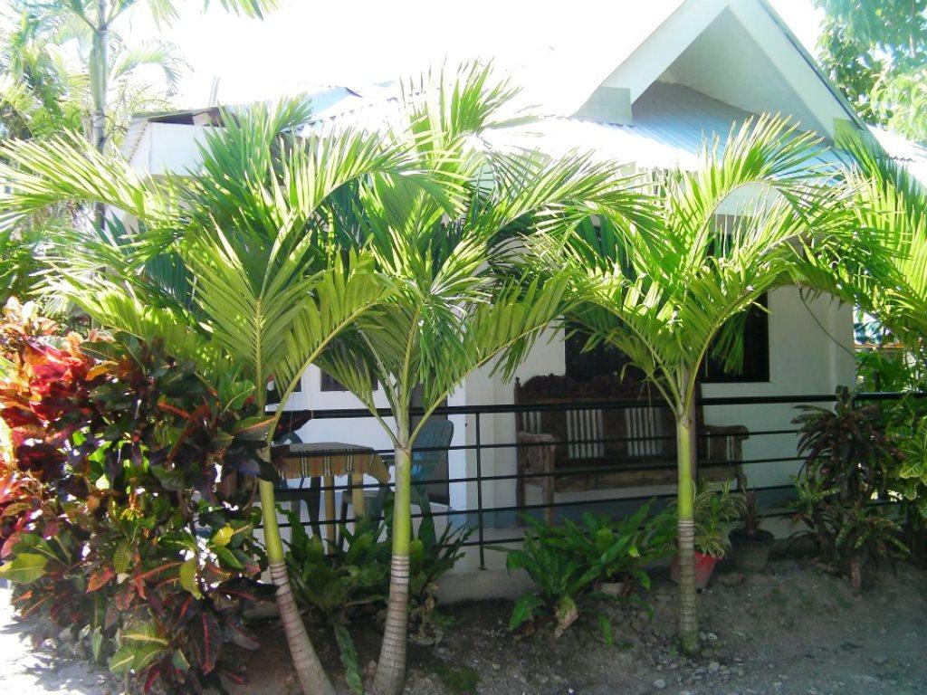 Paguia's Cottages