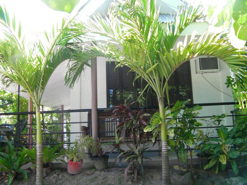 Paguia's Cottages