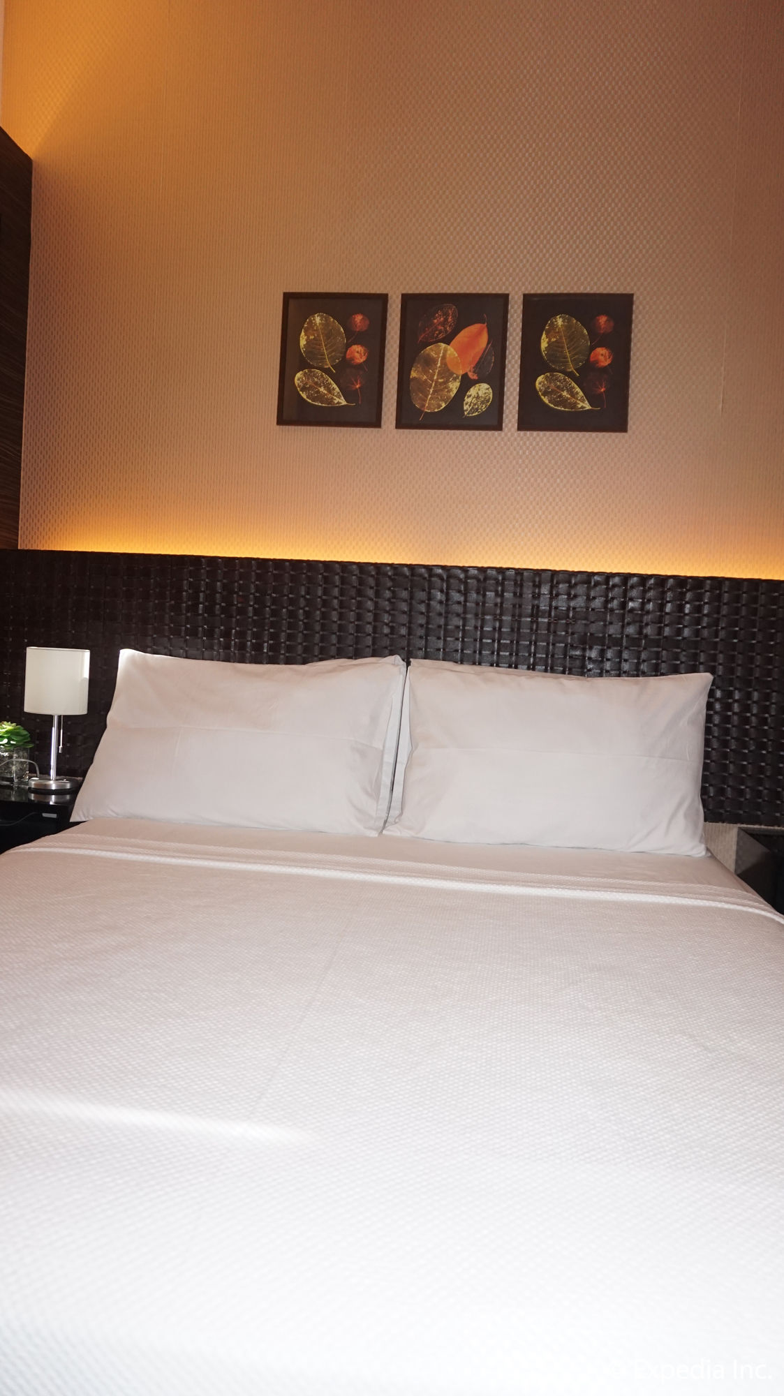 Shang Luxury Suites