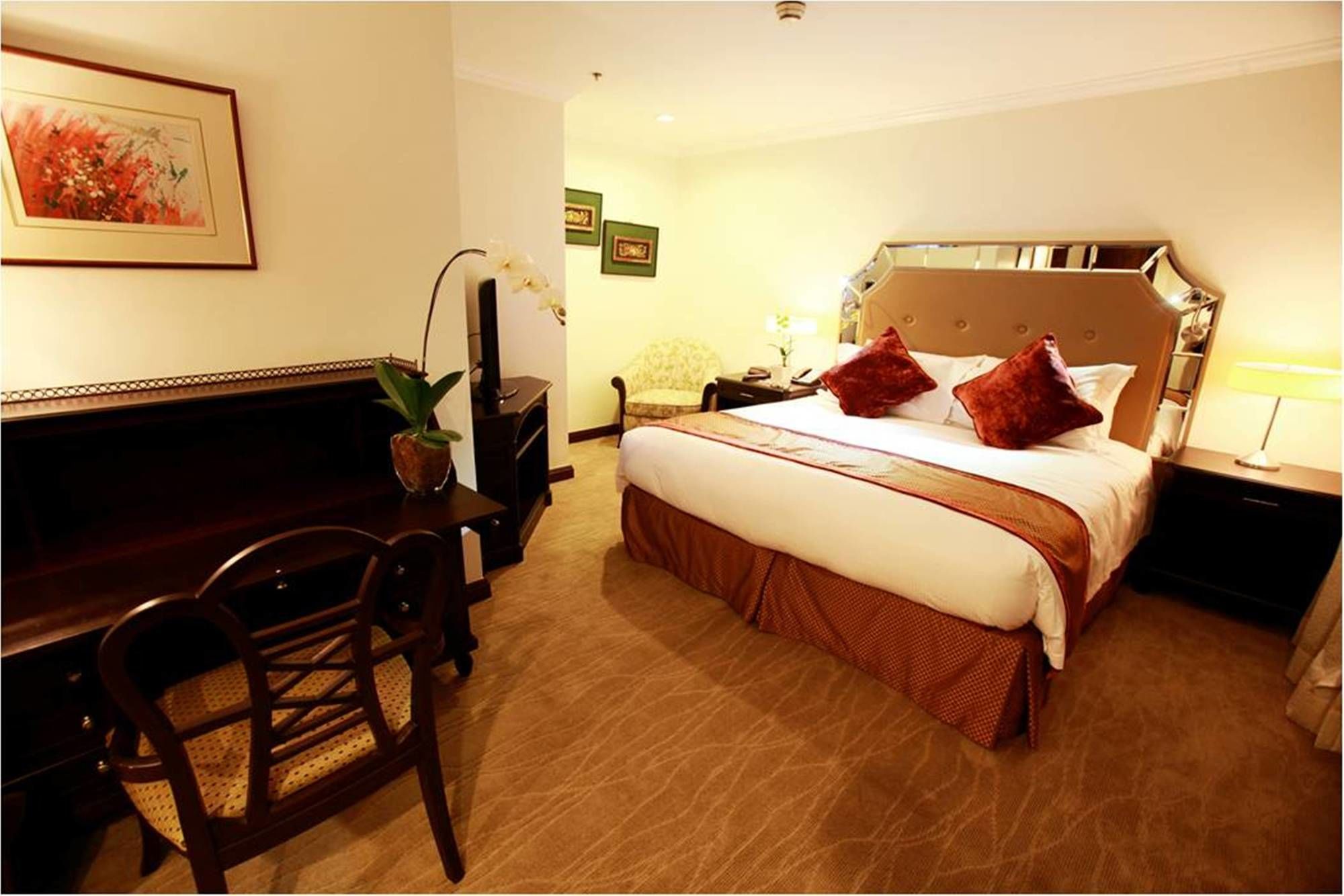 Discovery Suites