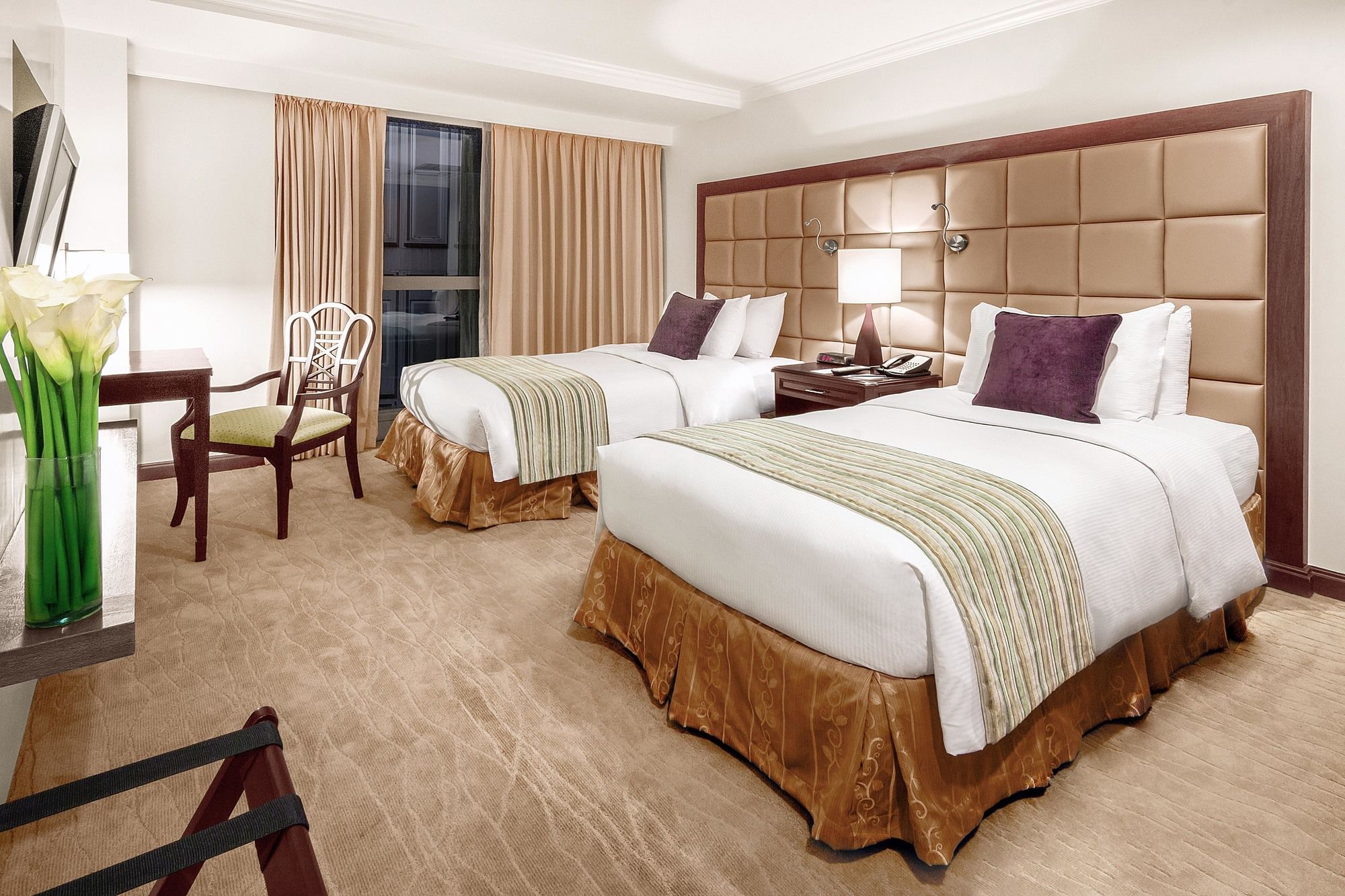 Discovery Suites