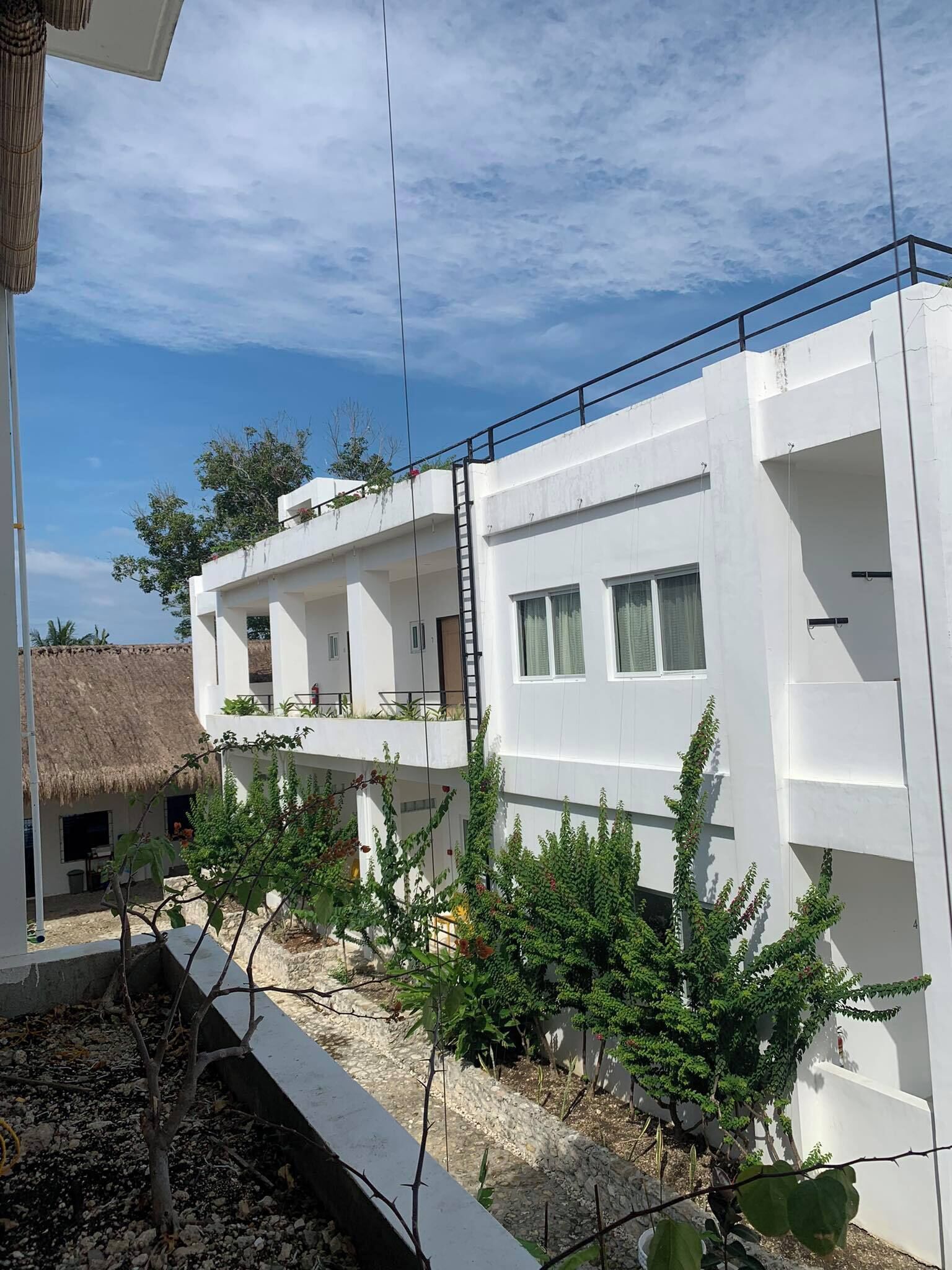 Divers Lodge Plumeria