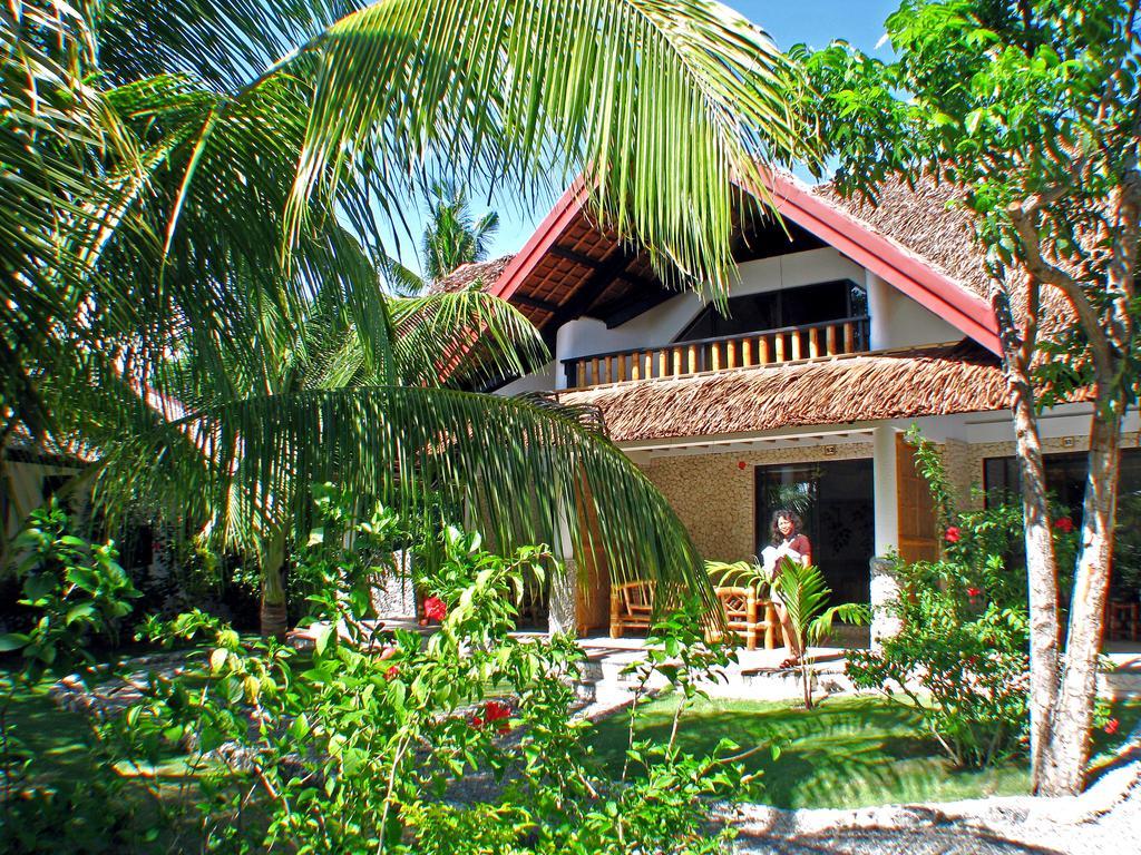 Dolphin House