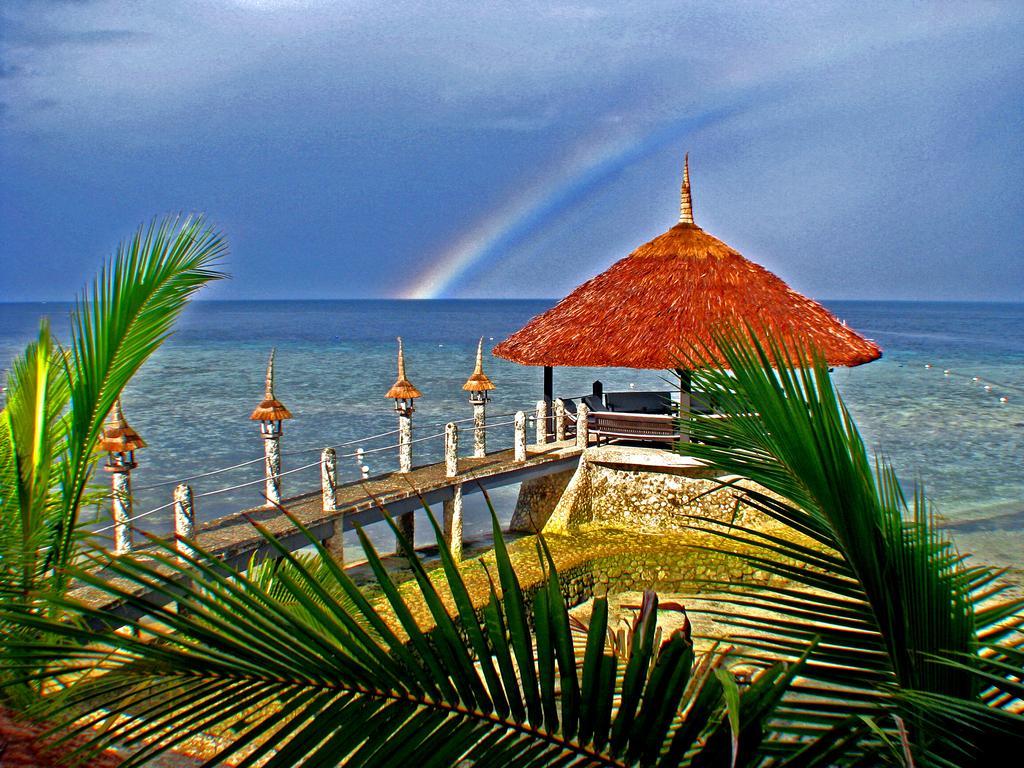 Dolphin House