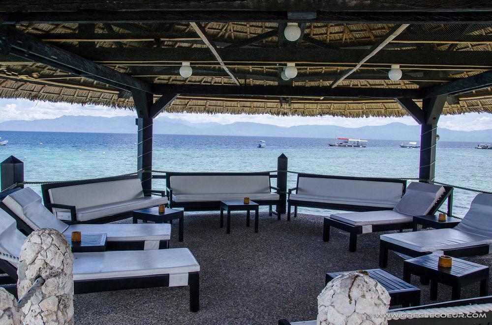 Dolphin House