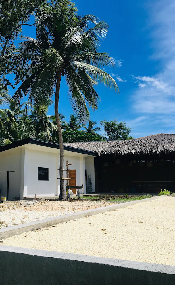 Maayong Hostel