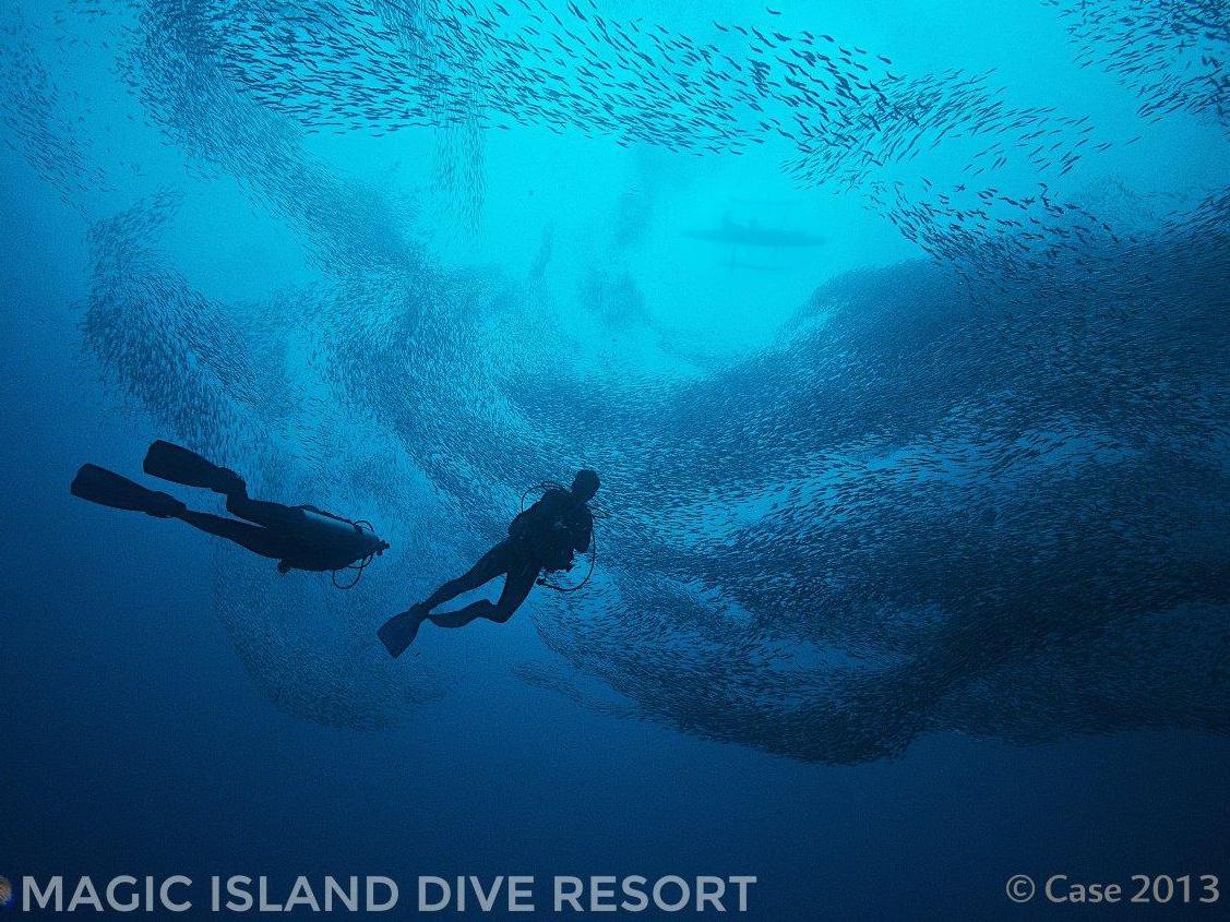 Magic Island Dive Resort
