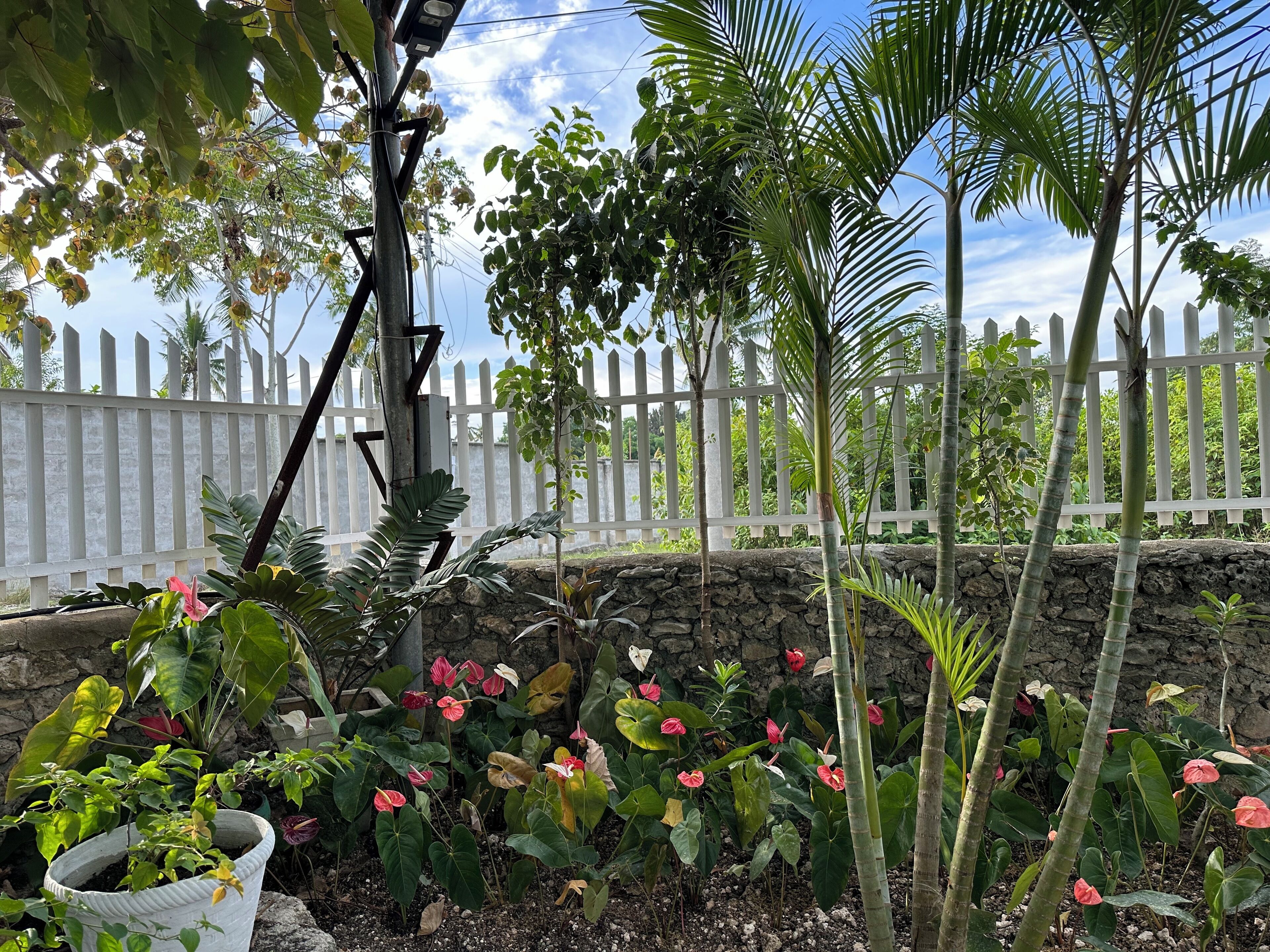 Moalboal Casablanca Inn