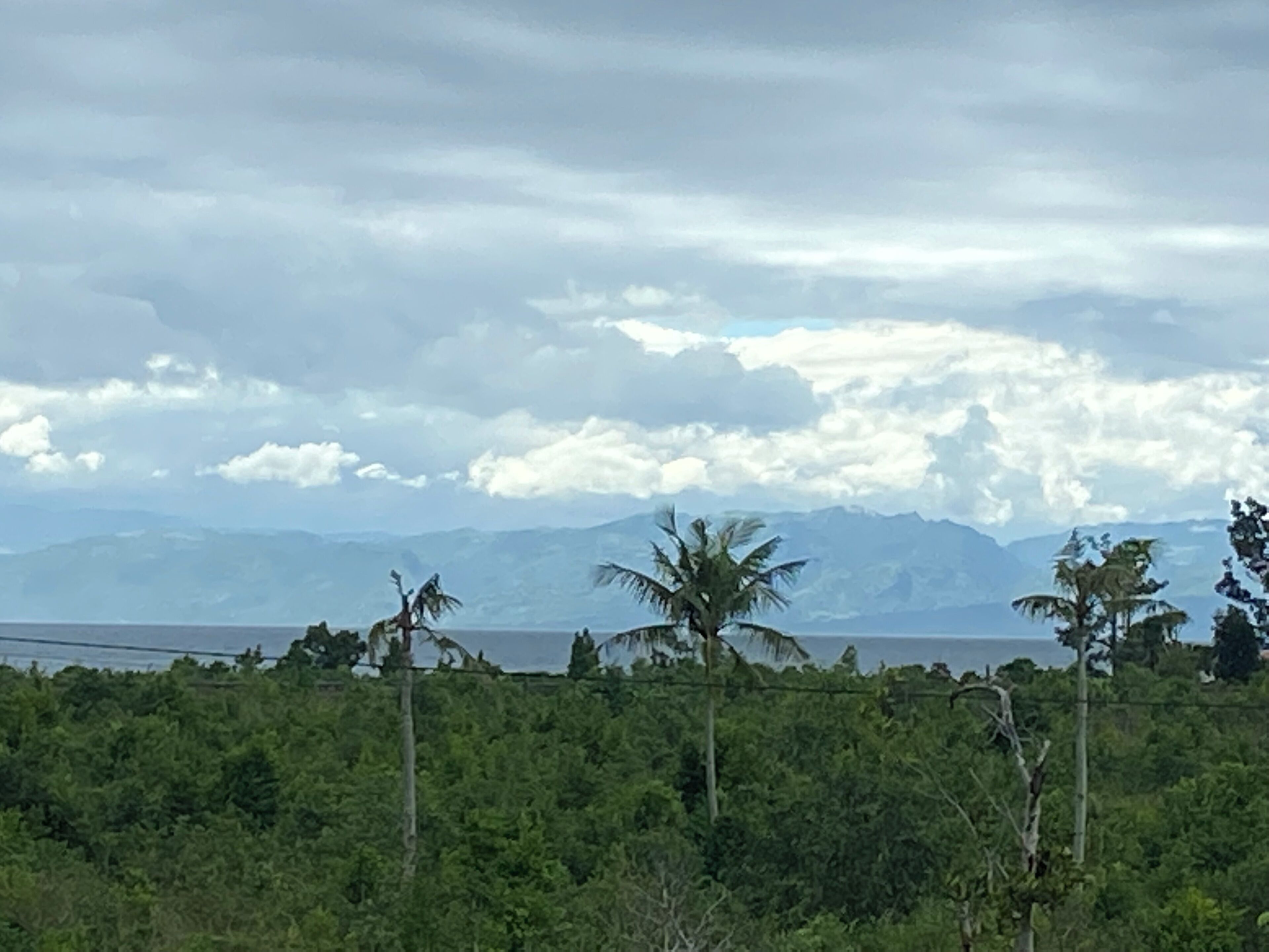 Moalboal Casablanca Inn