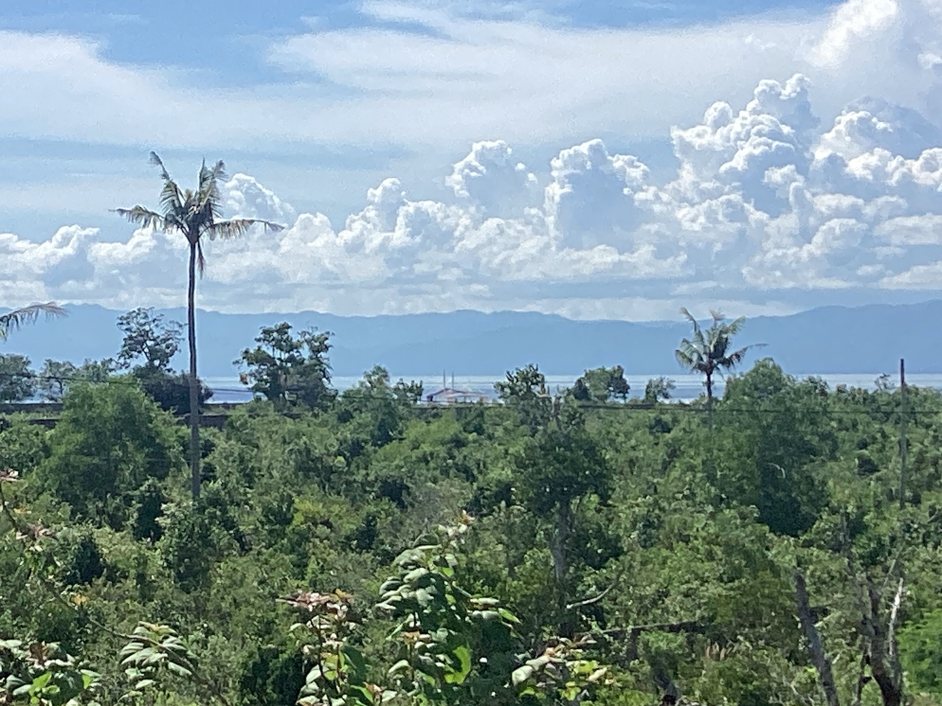 Moalboal Casablanca Inn