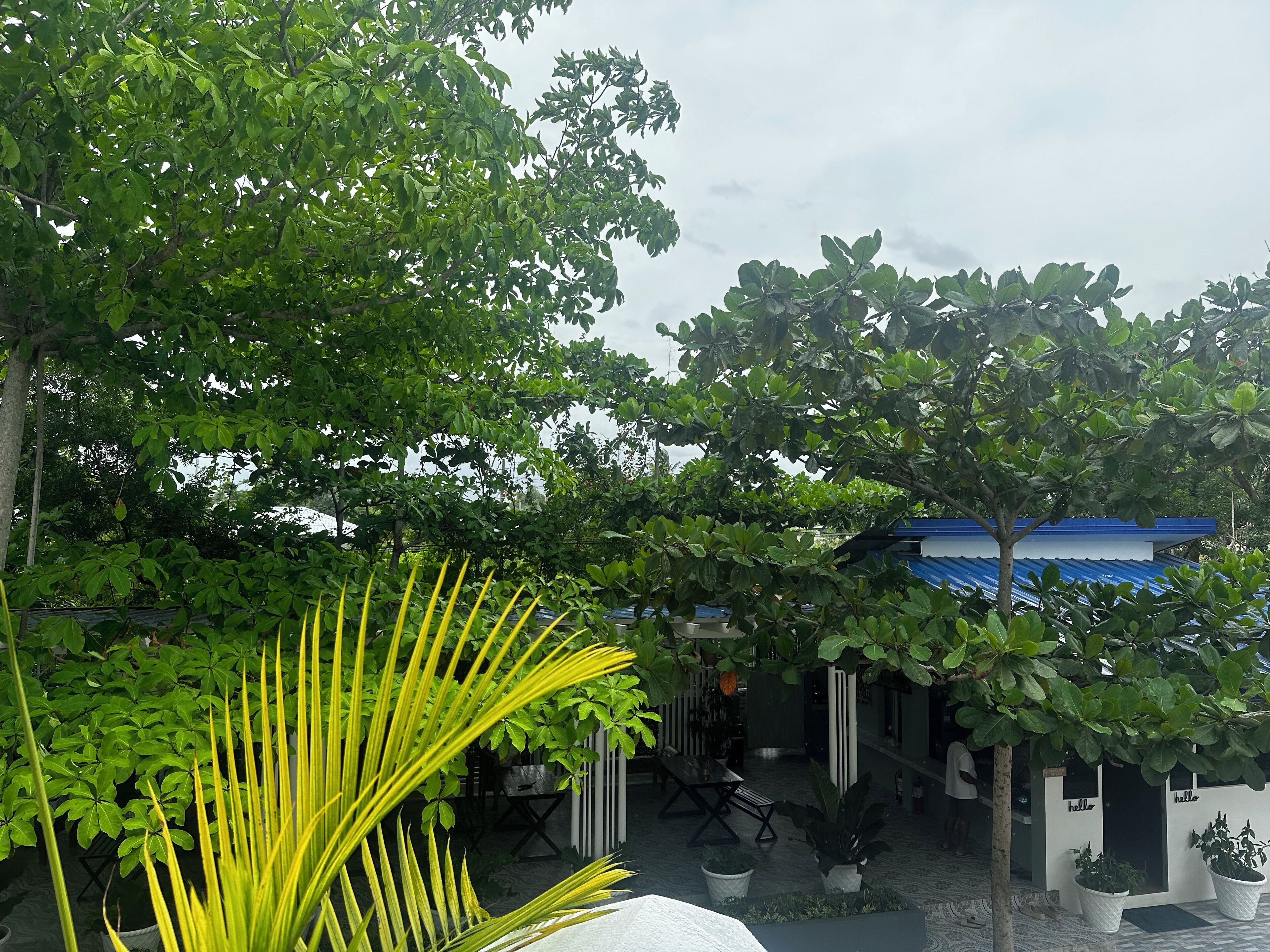 Moalboal Casablanca Inn