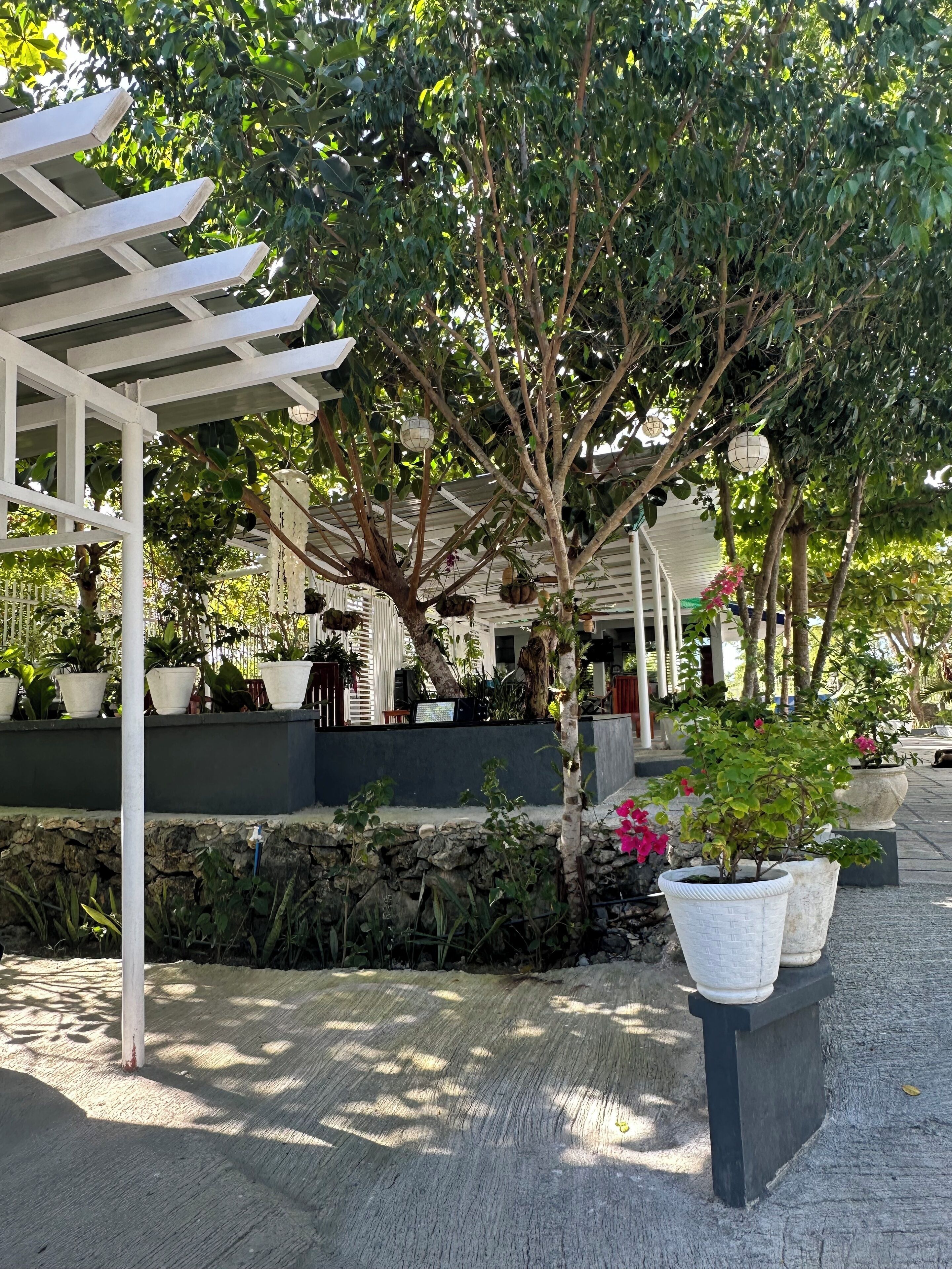 Moalboal Casablanca Inn