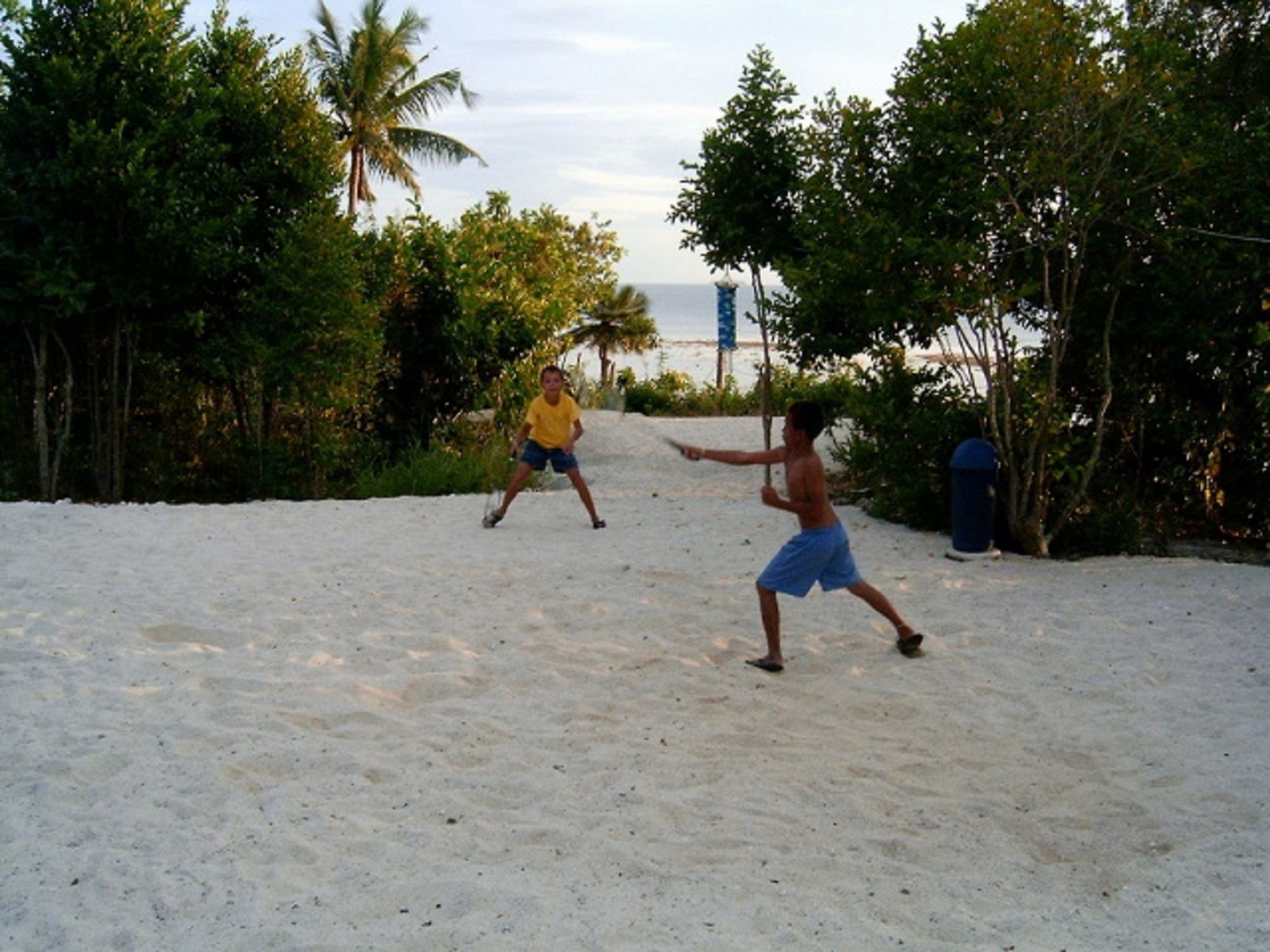 Sea Turtle House