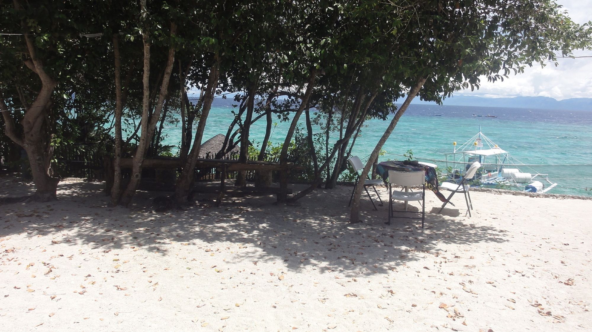 Sea Turtle House