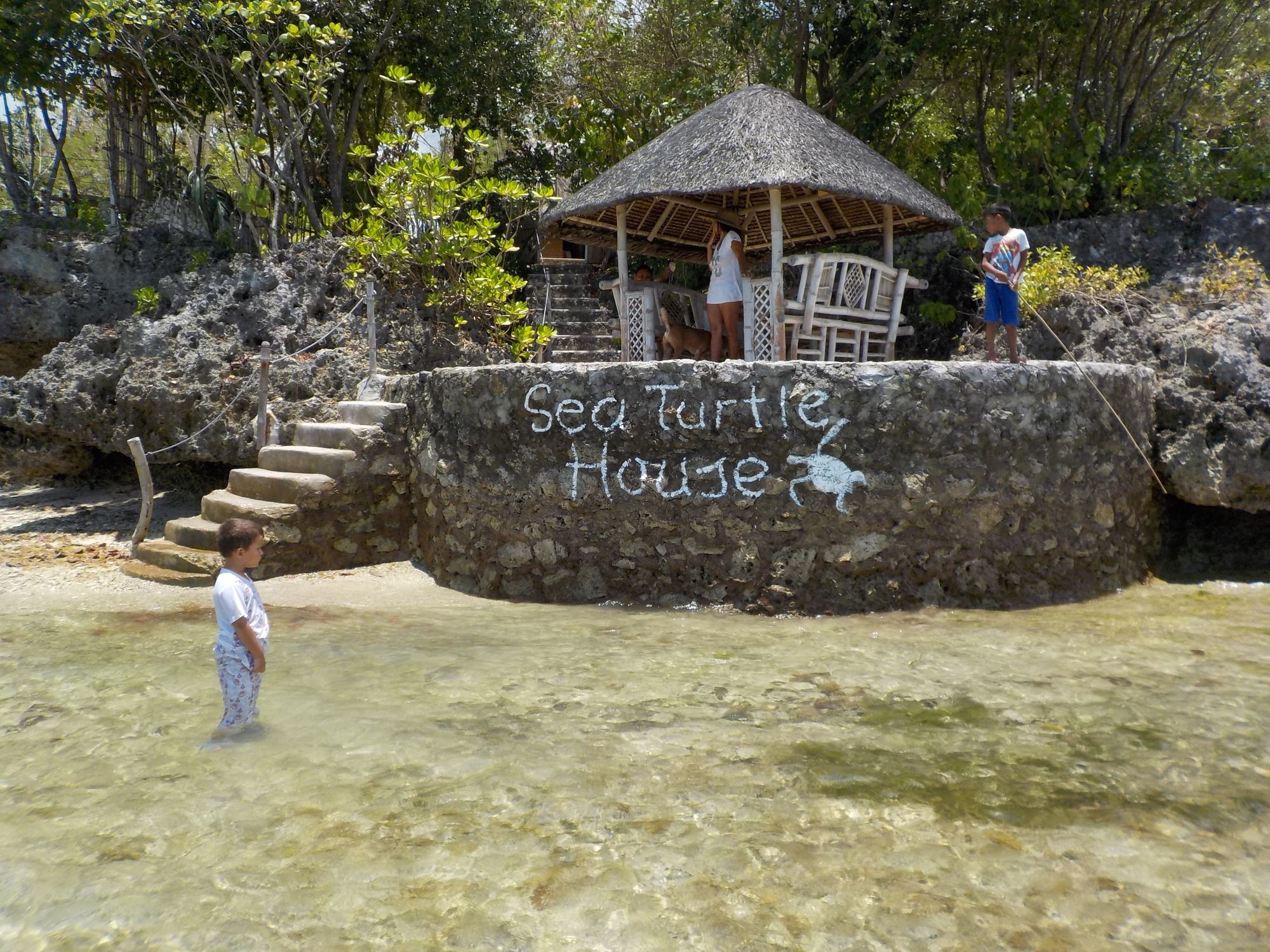 Sea Turtle House