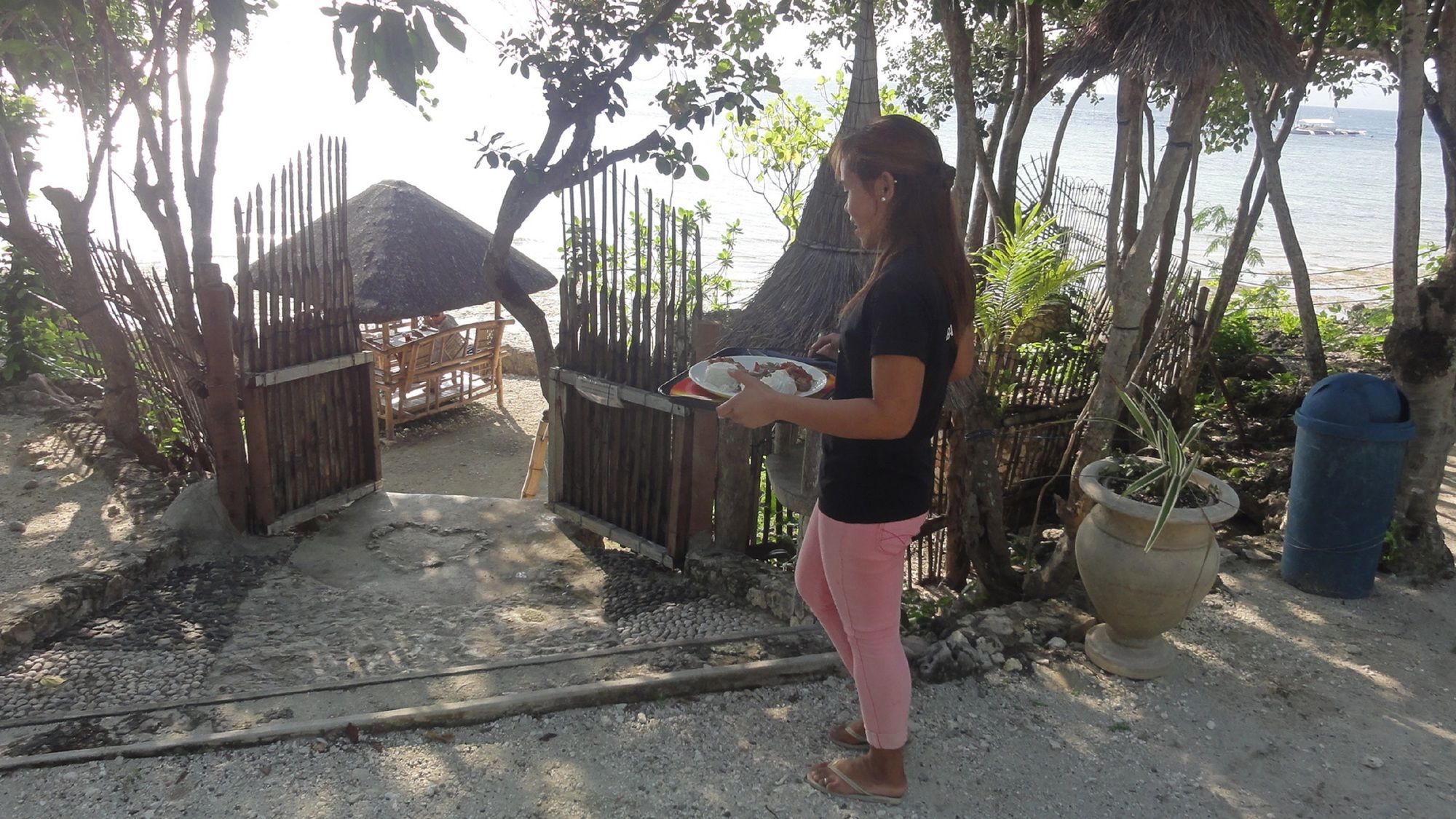 Sea Turtle House