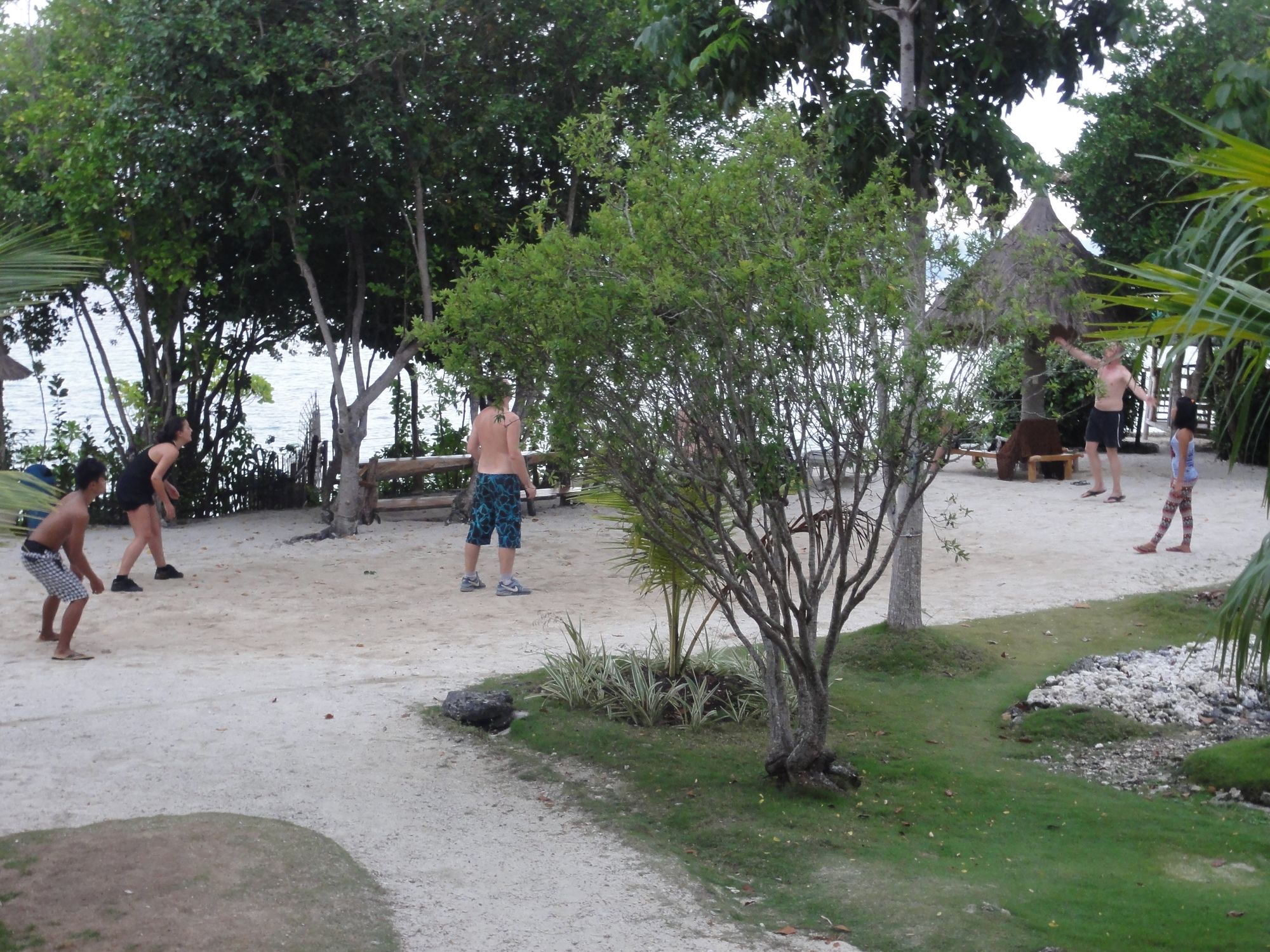 Sea Turtle House