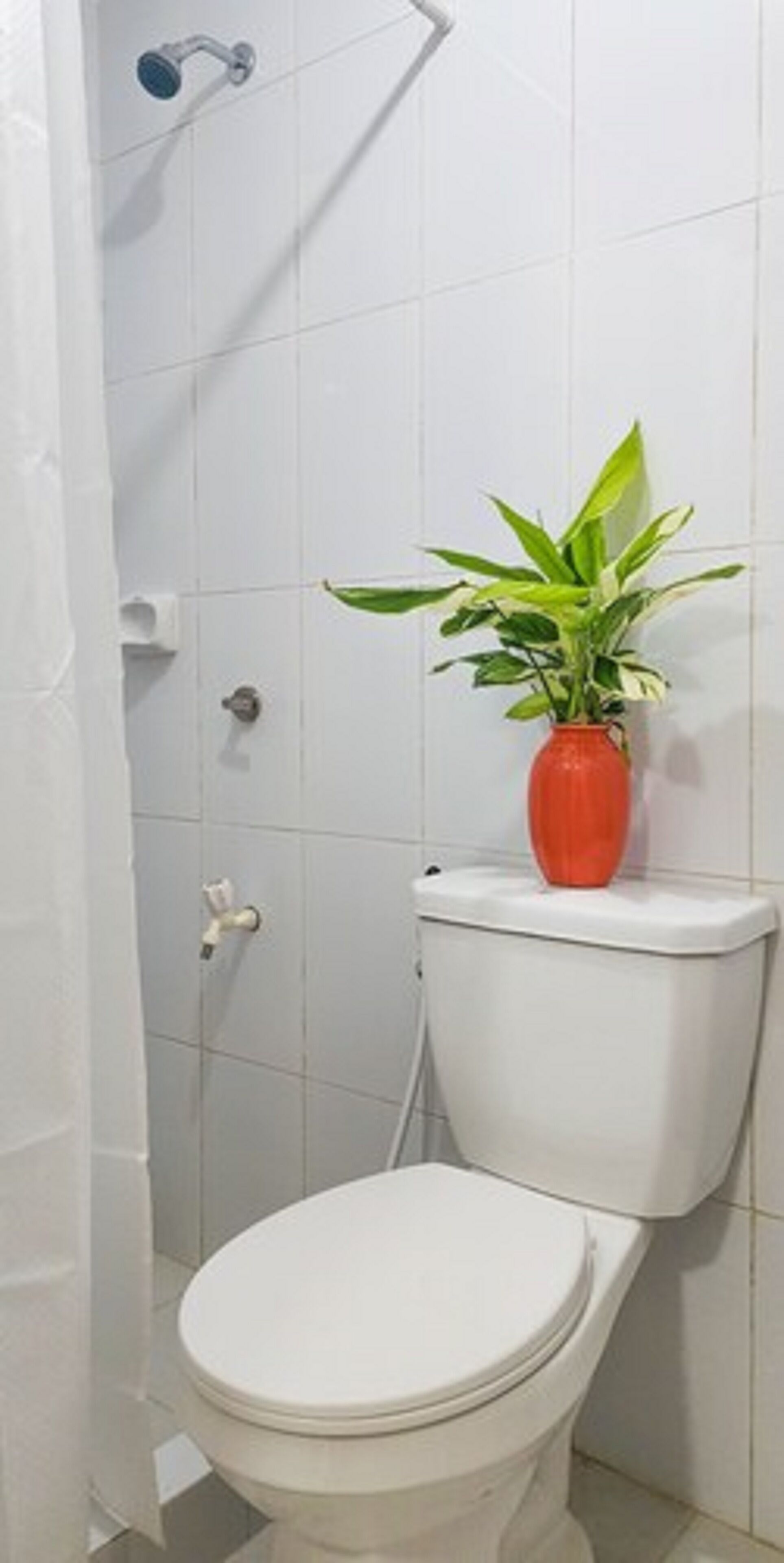 Crystal Shore Beach Resort powered by Cocotel