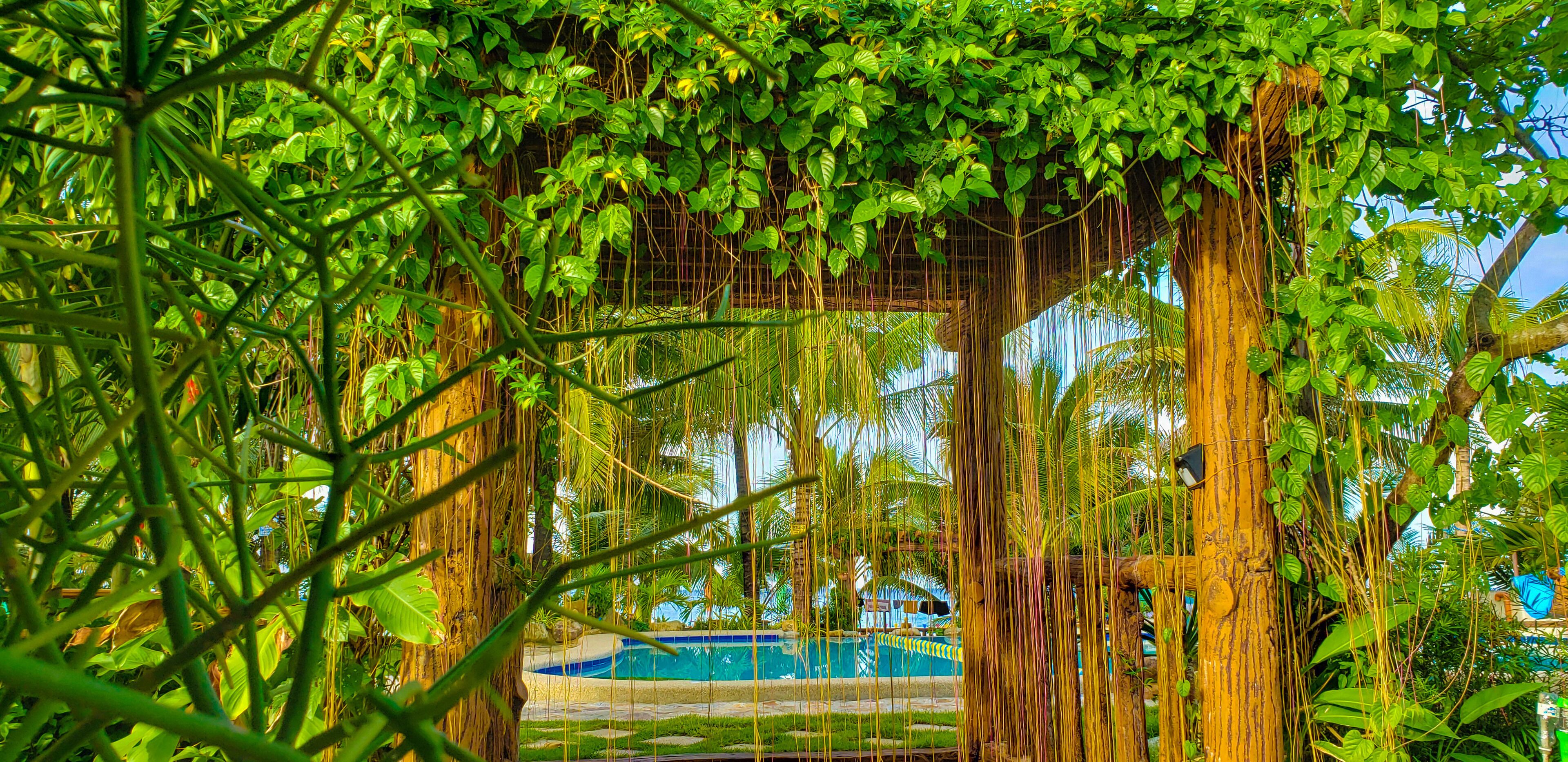 Crystal Shore Beach Resort powered by Cocotel