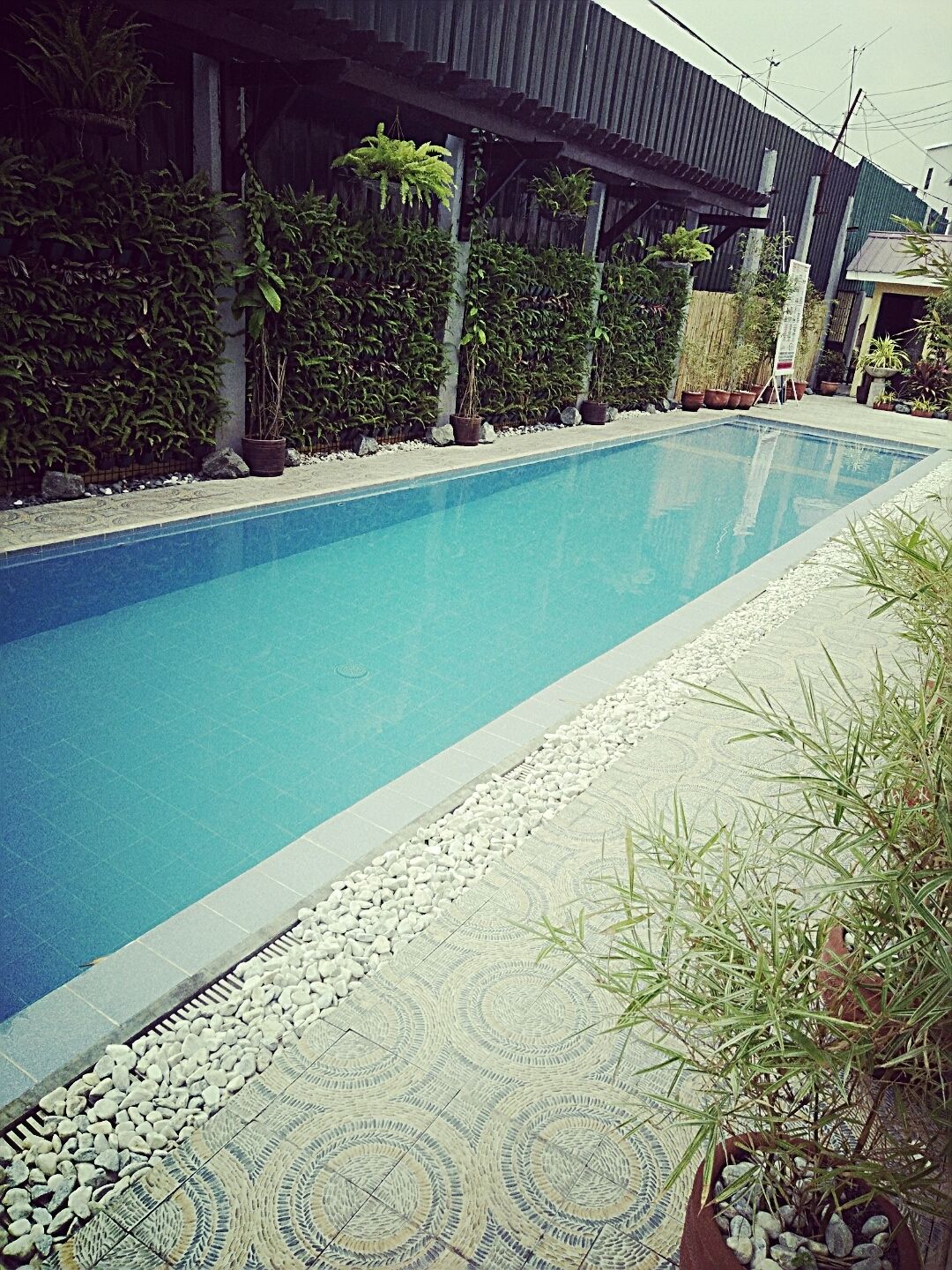Darvy Suites