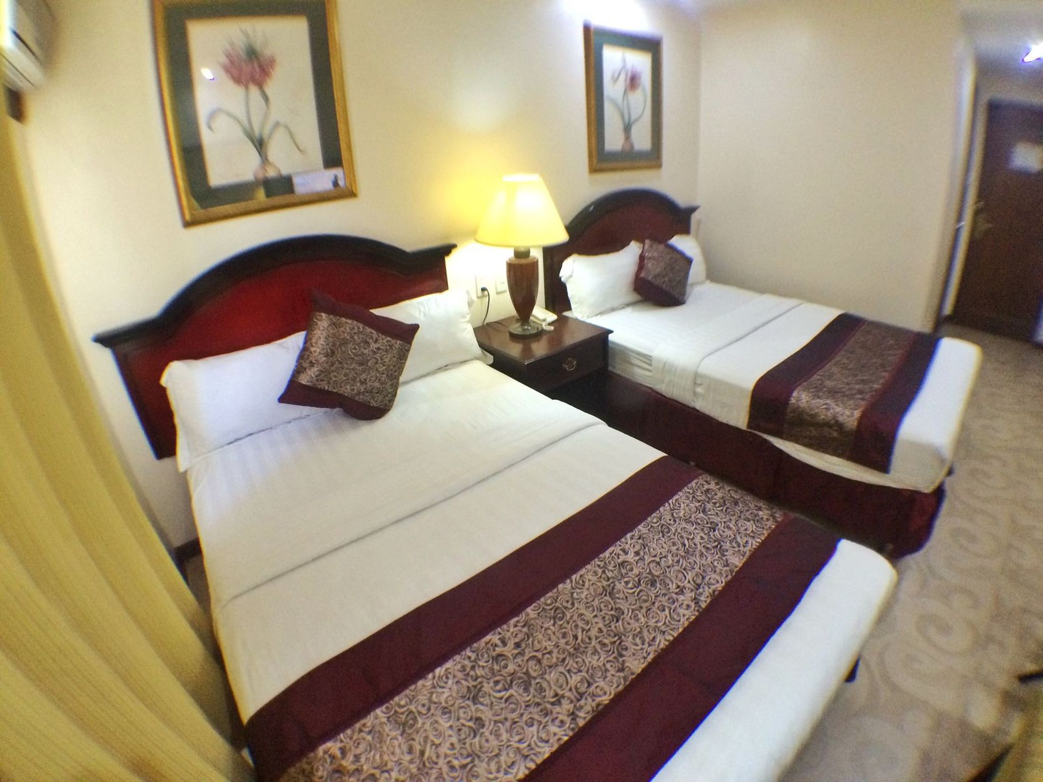 Cindy Kelly Hotel