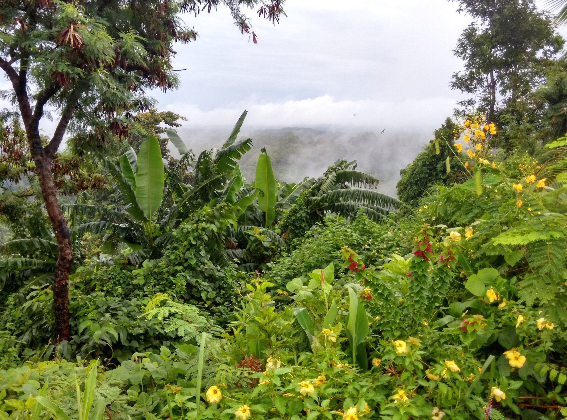 The Duyan House At Sinagtala Resort