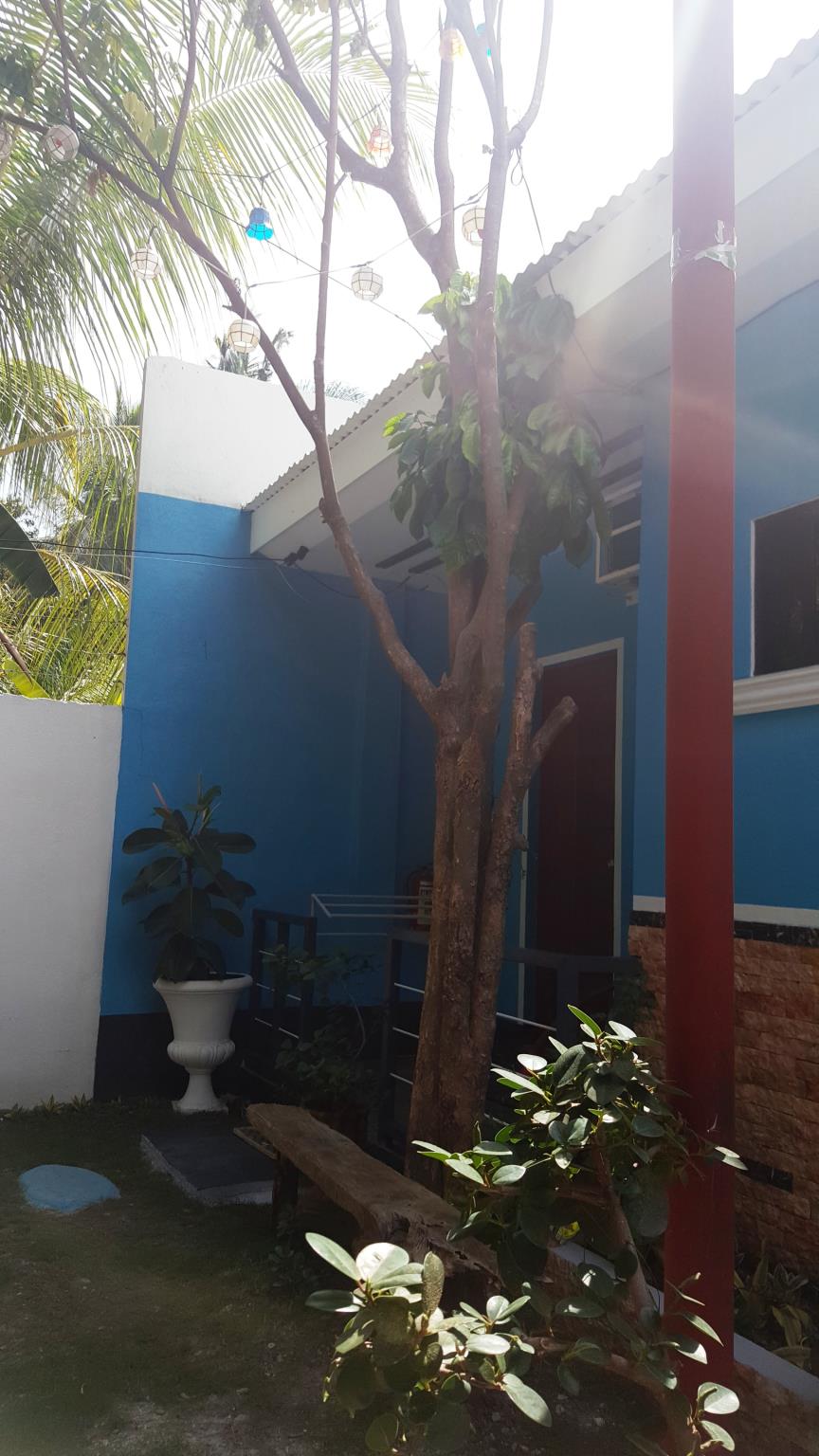 Pedz Cing Mango Lodge