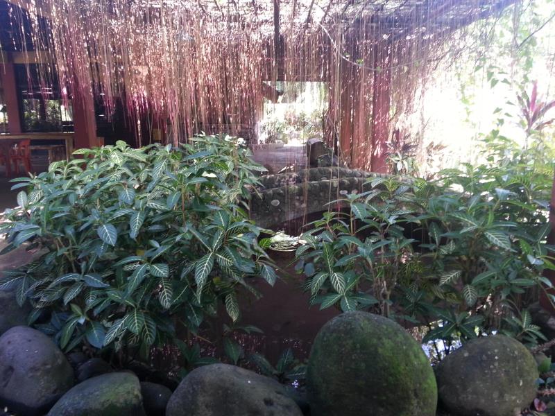Villa Socorro Farm