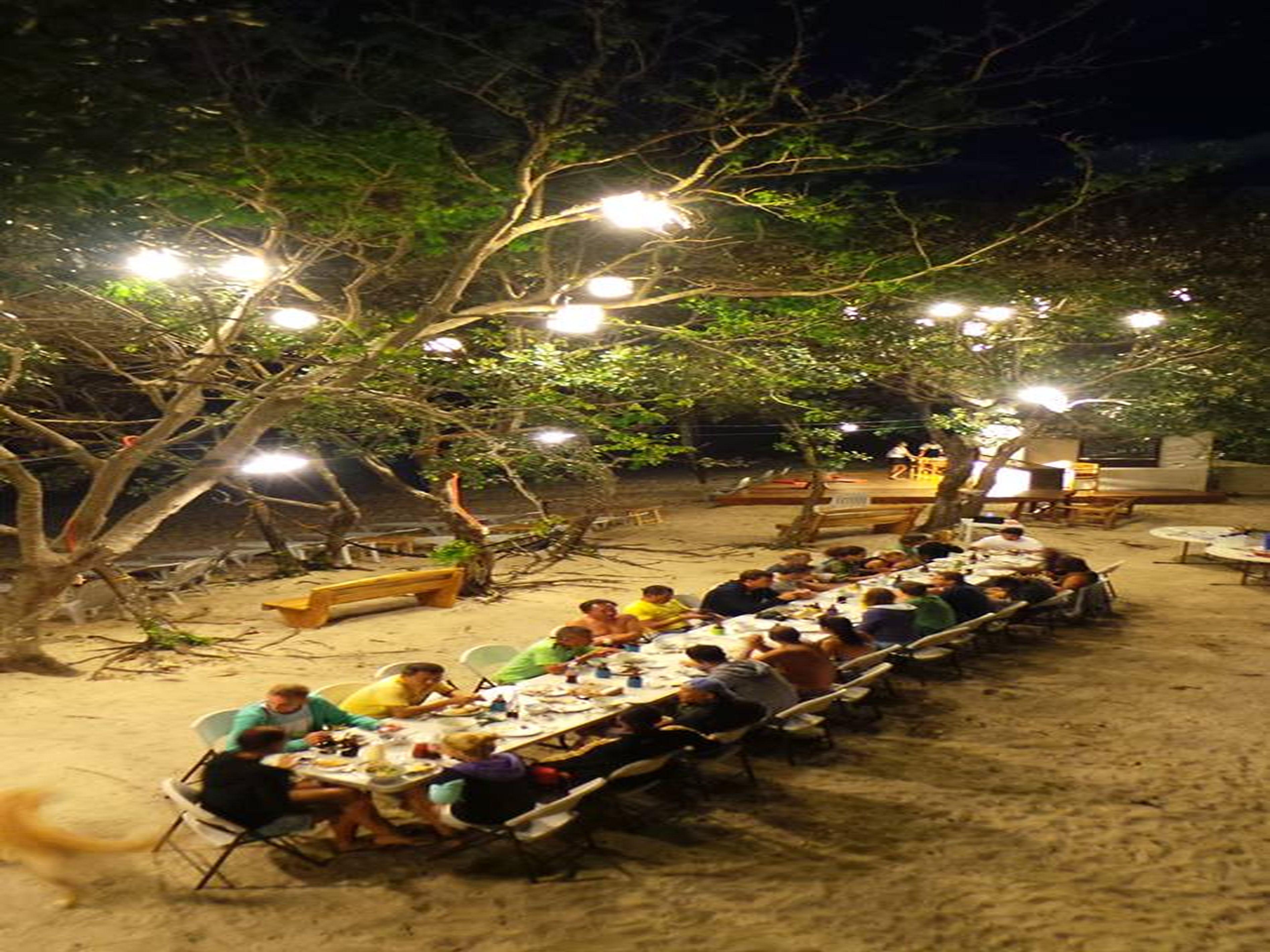 Kingfisher Sand Sea Surf Resort