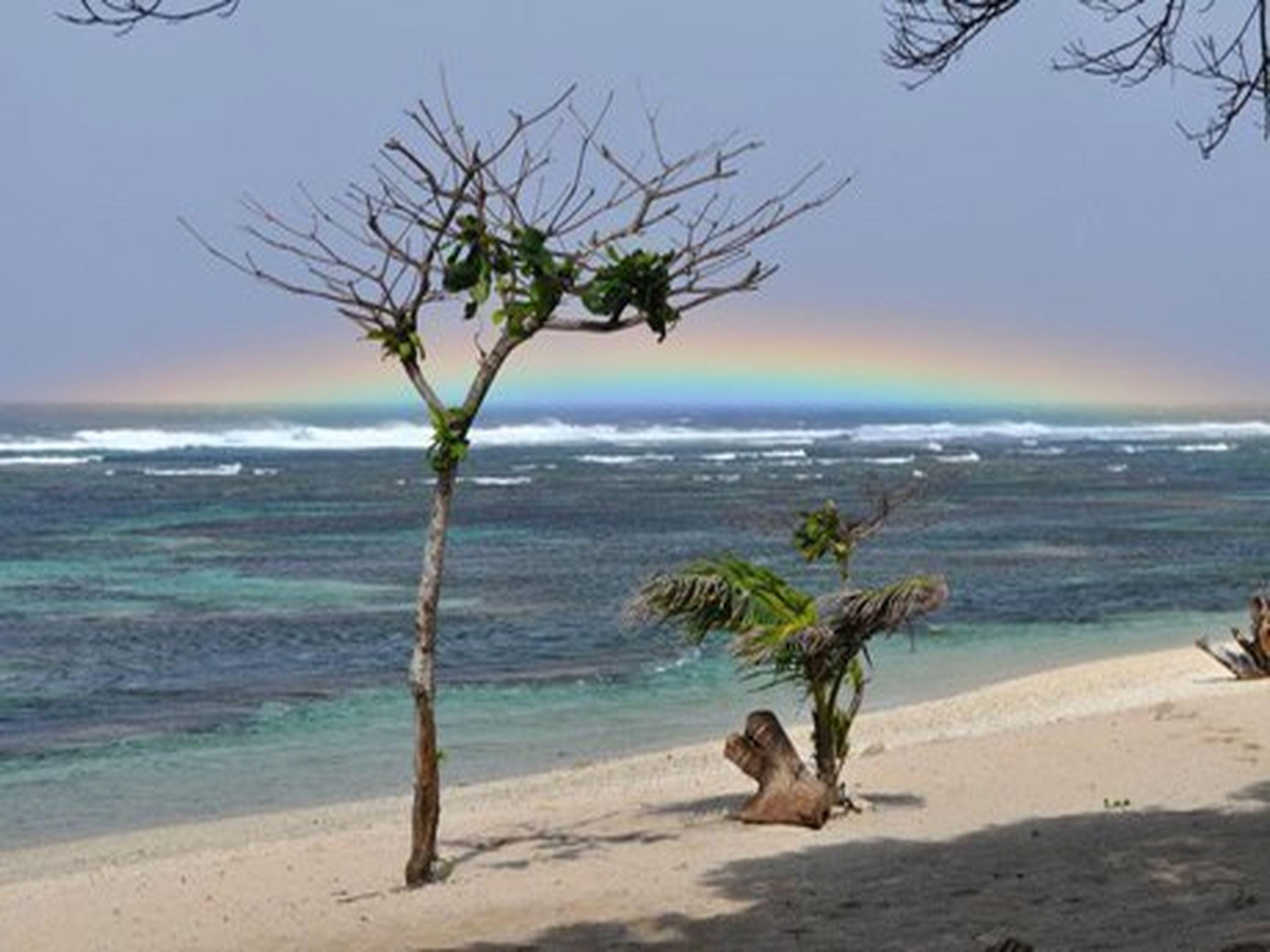 Kingfisher Sand Sea Surf Resort
